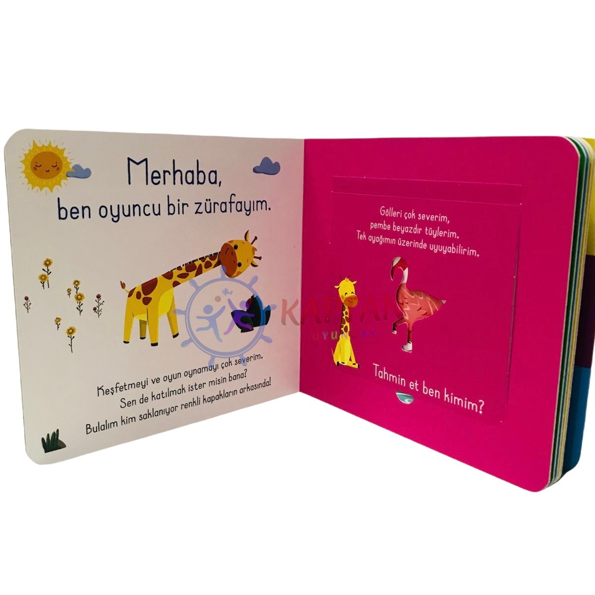 Bak Bul Sobe Oyuncu Zürafa
