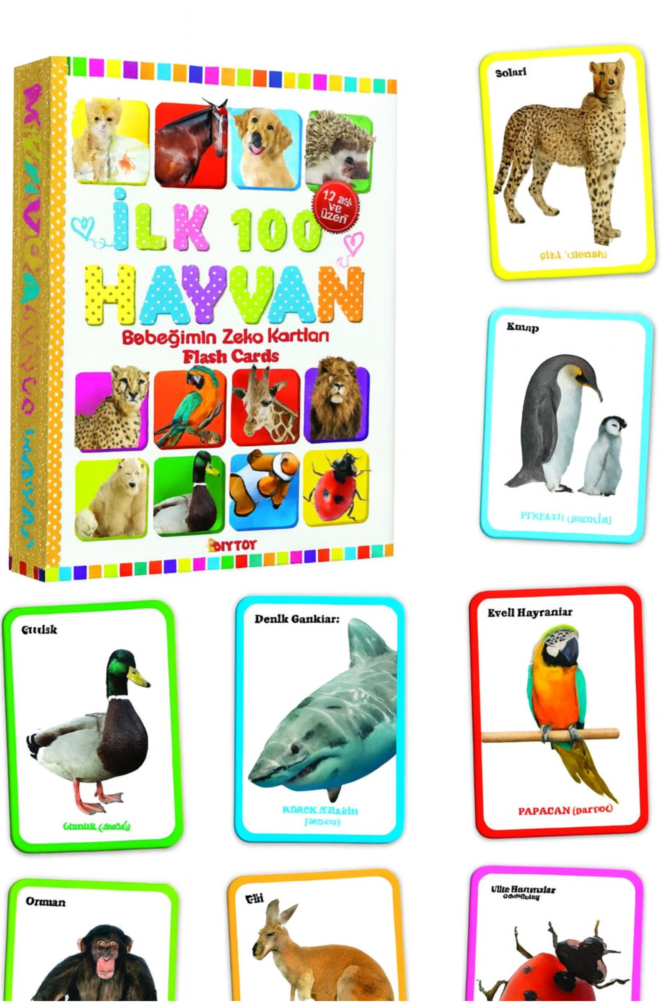 Bebeğimin Zeka Kartları: İlk 100 Hayvan