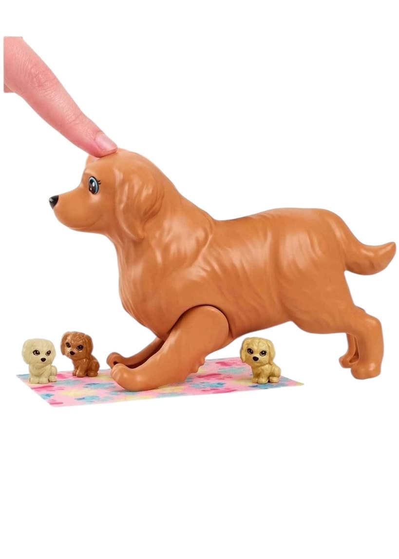 Barbie ve Hayvan Dostları HCK75