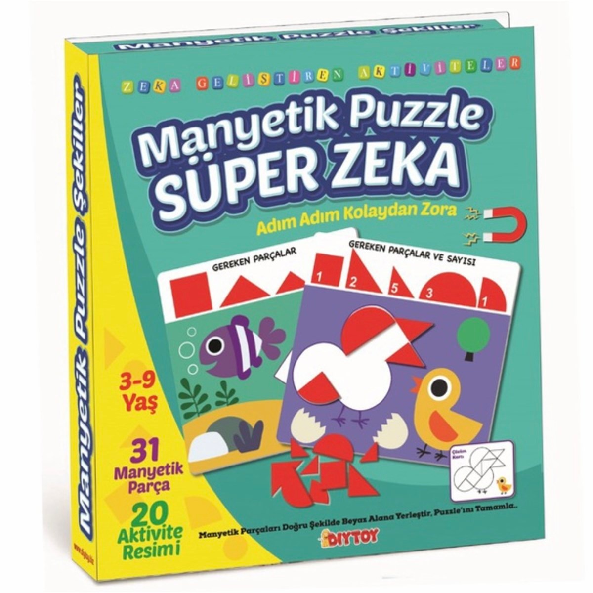 Manyetik Puzzle Süper Zeka