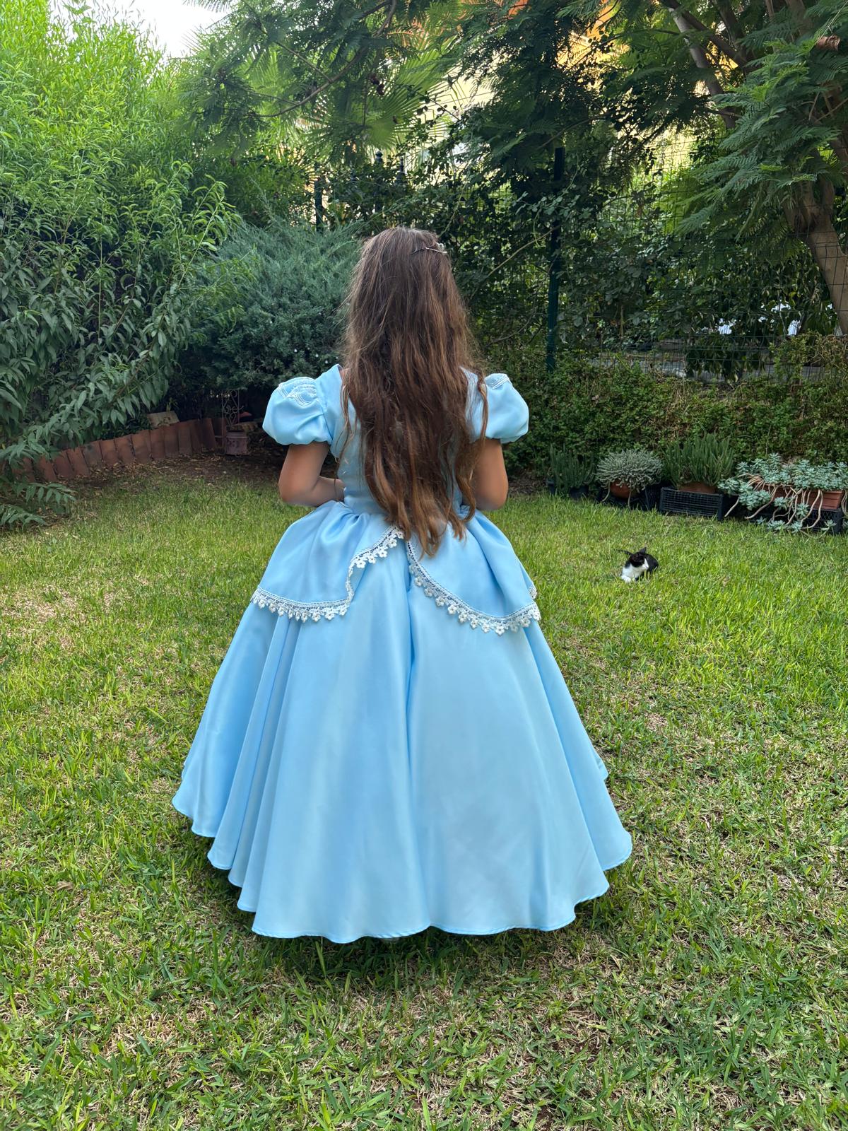 Sindirella Kostümü - Doğum Günü Elbisesi - ipeqakids