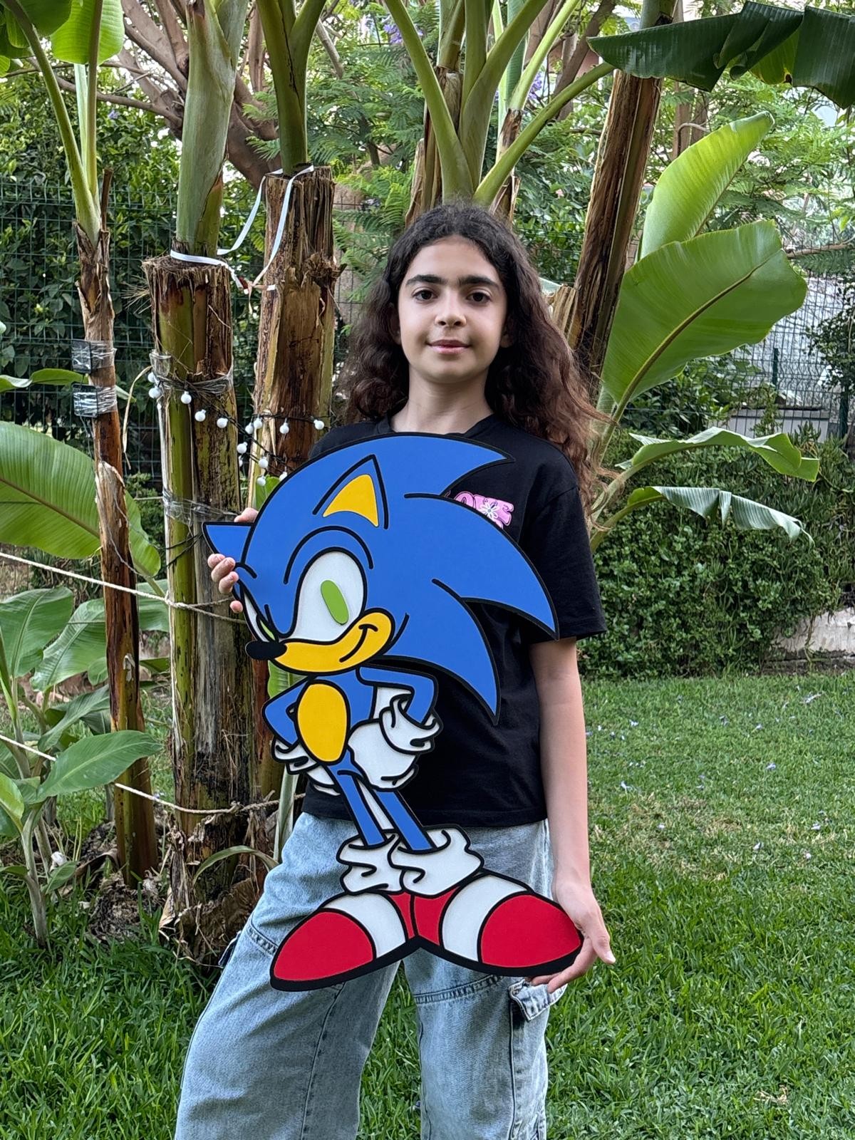 Sonic Ahşap Çocuk Odası Duvar Dekoru