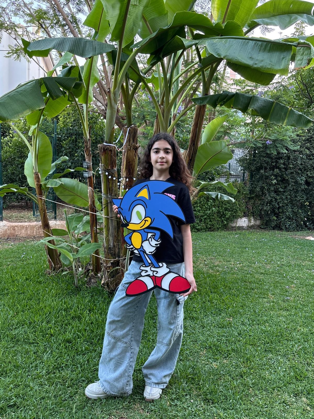 Sonic Ahşap Çocuk Odası Duvar Dekoru