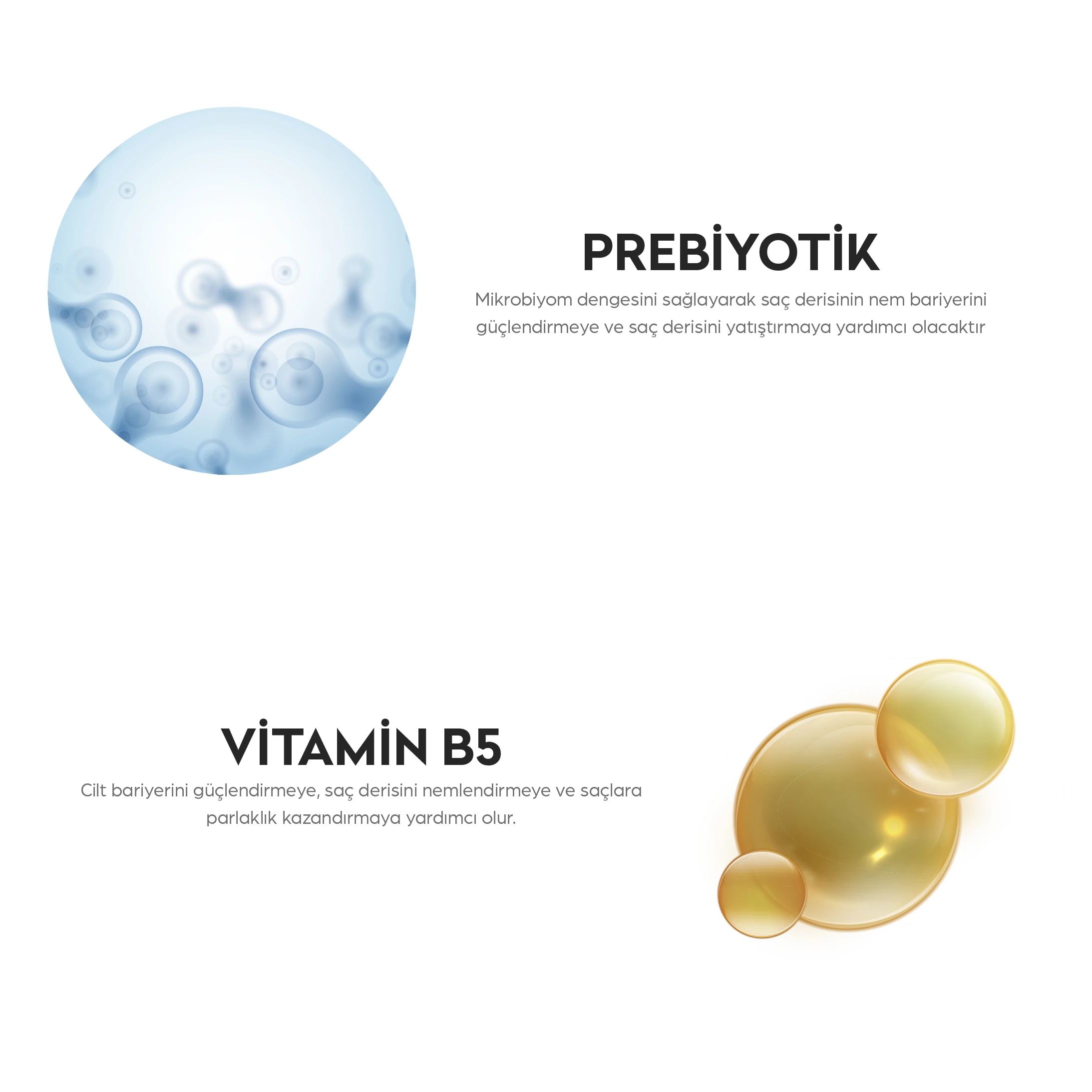 Prebiyotik & Vitamin B5 Kepeğe Karşı Şampuan 1 lt