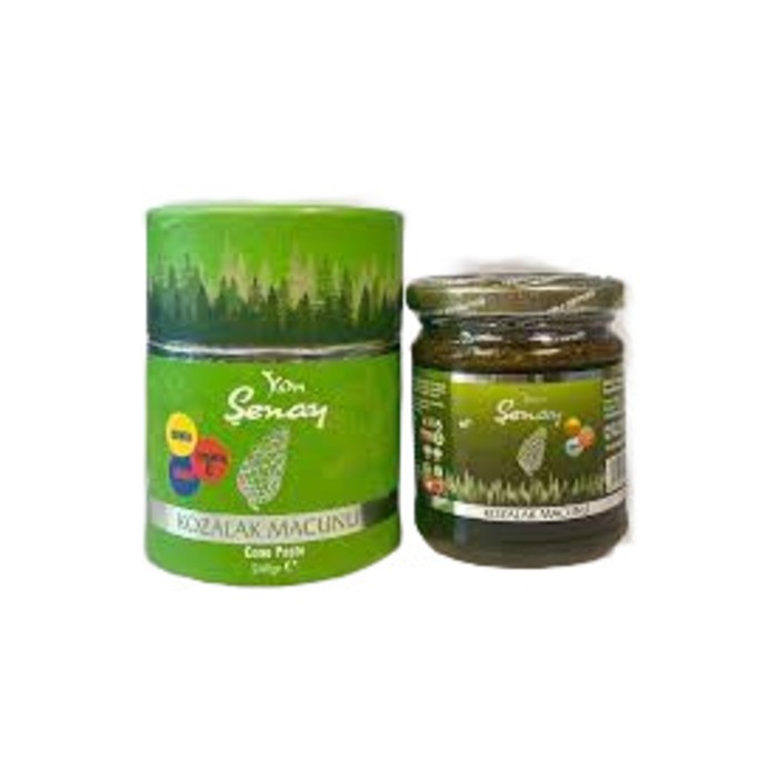 Kozalak Macunu 240ml