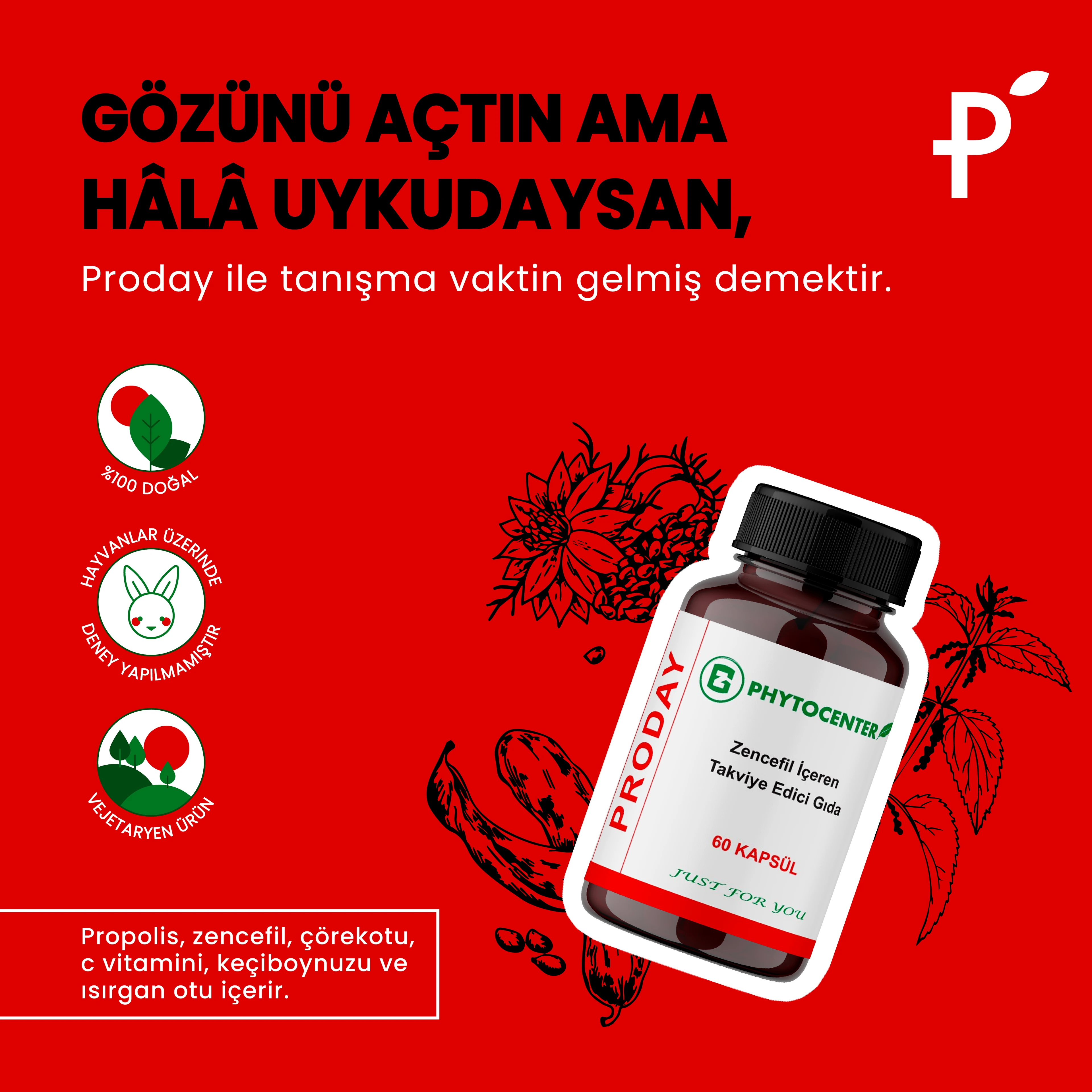 PRODAY Propolis, Zencefil ve C Vitamini İçeren Takviye Edici Gıda 60 Kapsül