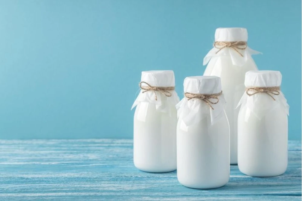 Probiyotik Nedir? Probiyotik Besinler ve Faydaları