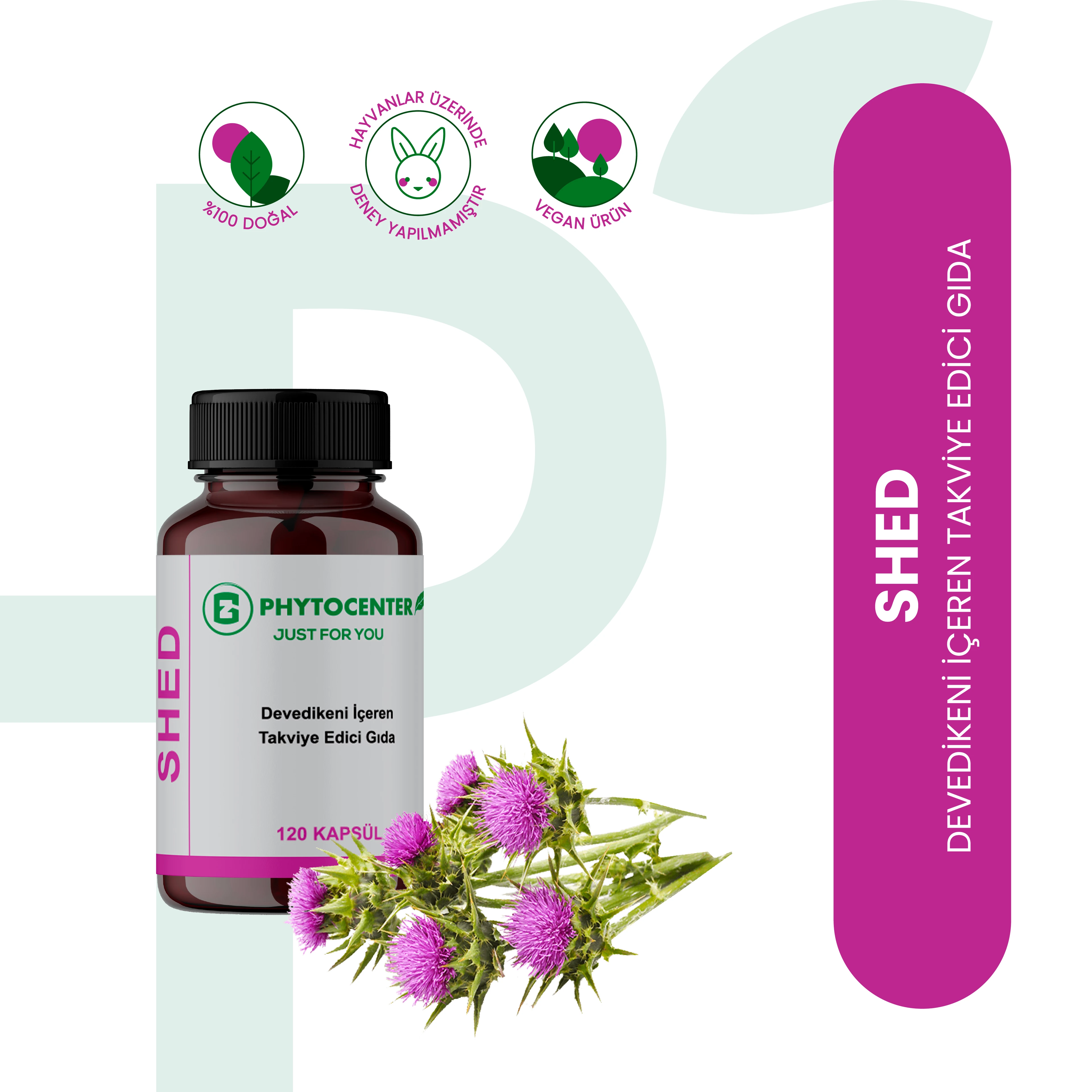 SHED Devedikeni ve Enginar İçeren Takviye Edici Gıda 120 Kapsül