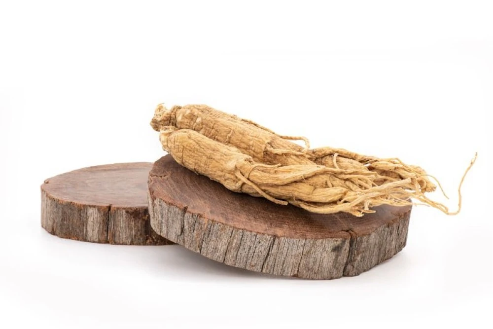 Ginseng Nedir? Ginseng Faydaları Nelerdir?