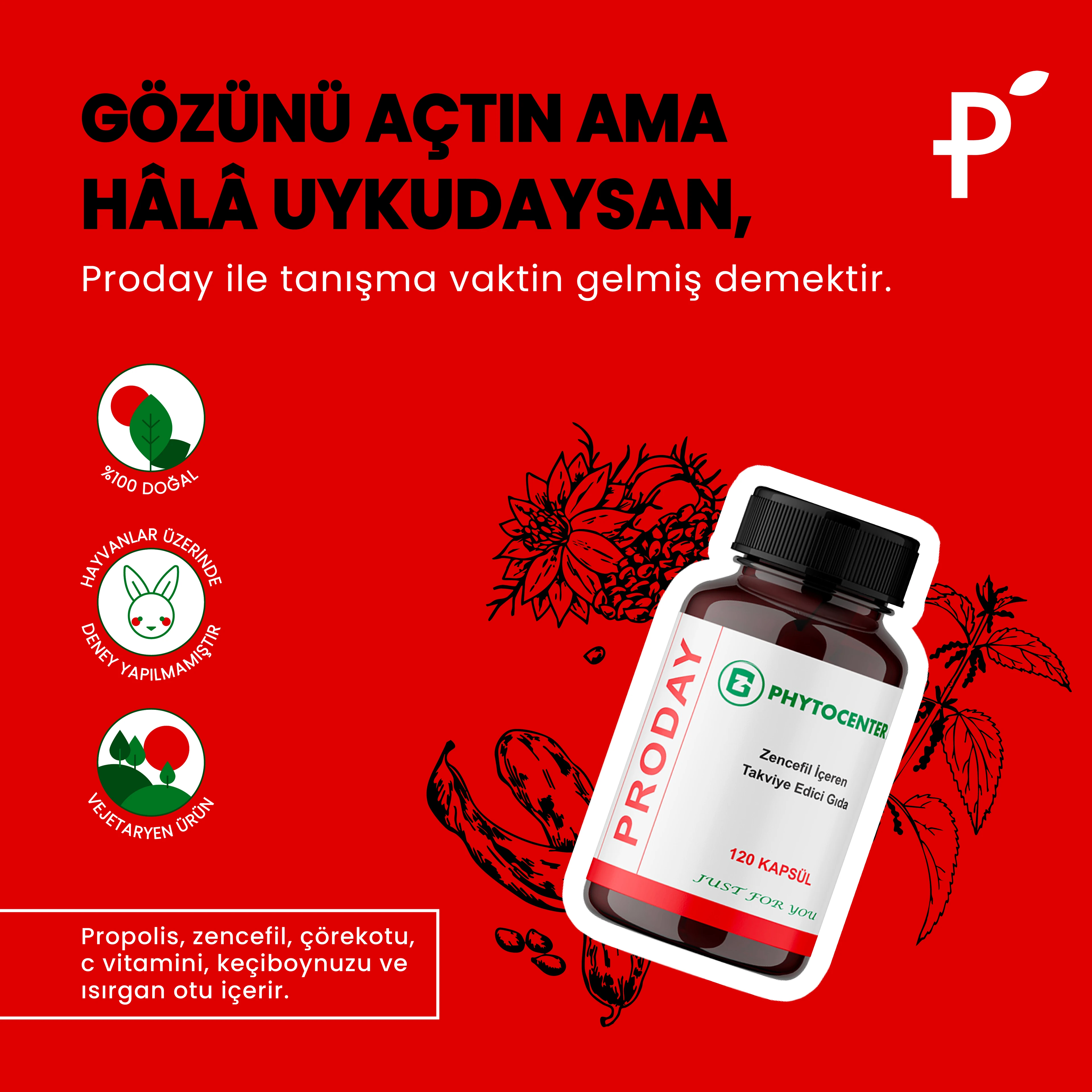 PRODAY Propolis, Zencefil ve C Vitamini İçeren Takviye Edici Gıda 120 Kapsül 