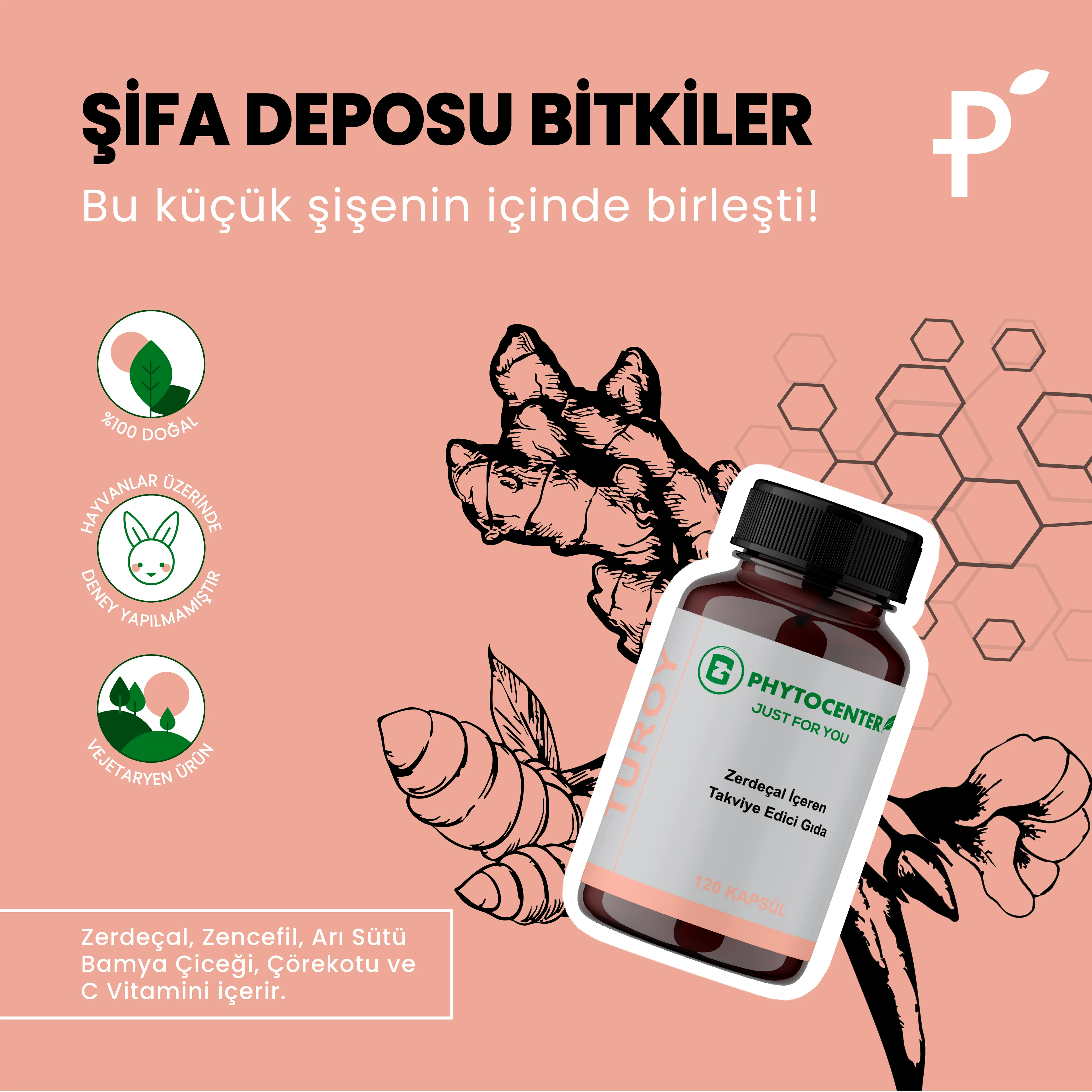 TUROY Zerdeçal ve Zencefil İçeren Takviye Edici Gıda 120 Kapsül