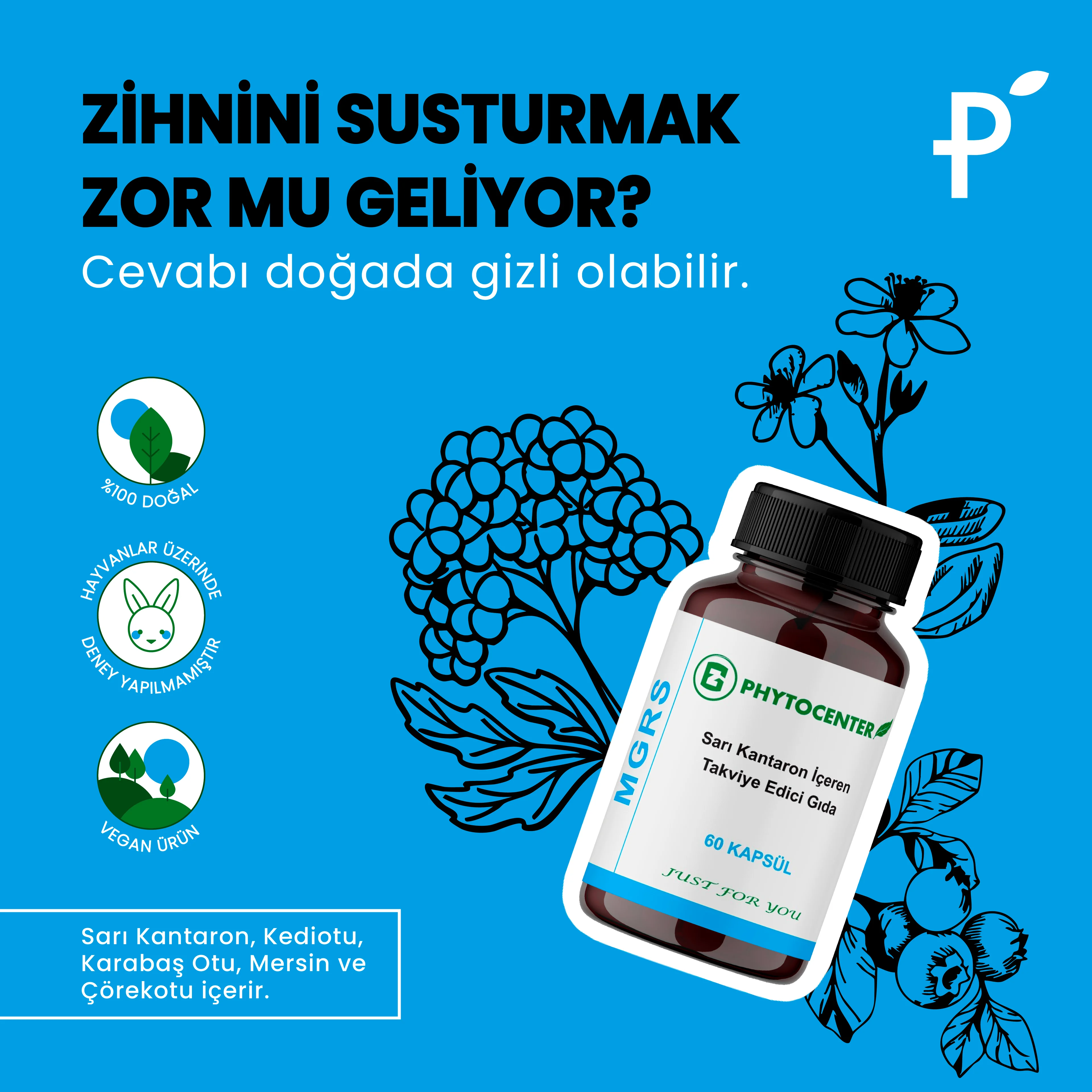 MGRS Sarı Kantaron İçeren Takviye Edici Gıda 60 Kapsül