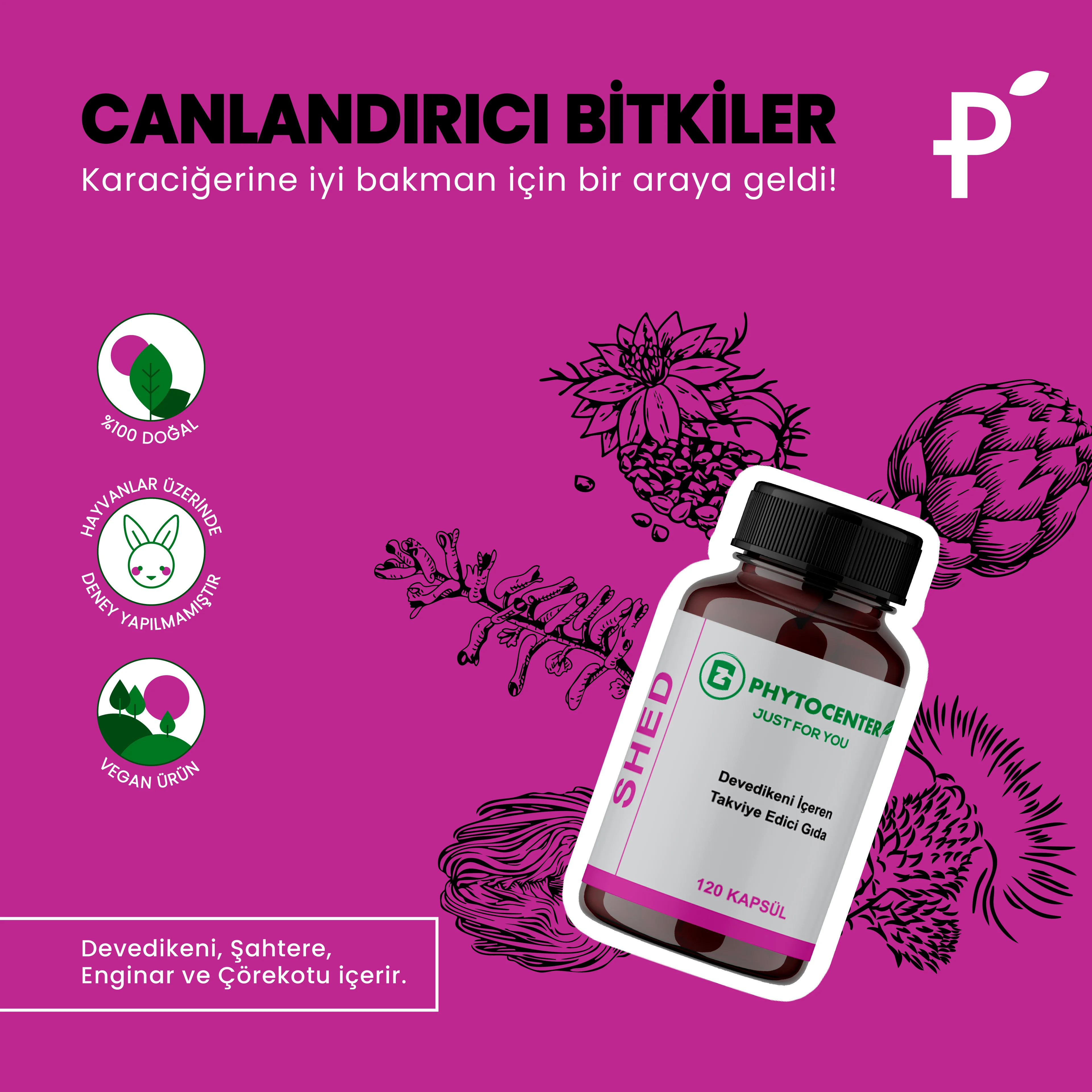 SHED Devedikeni ve Enginar İçeren Takviye Edici Gıda 120 Kapsül