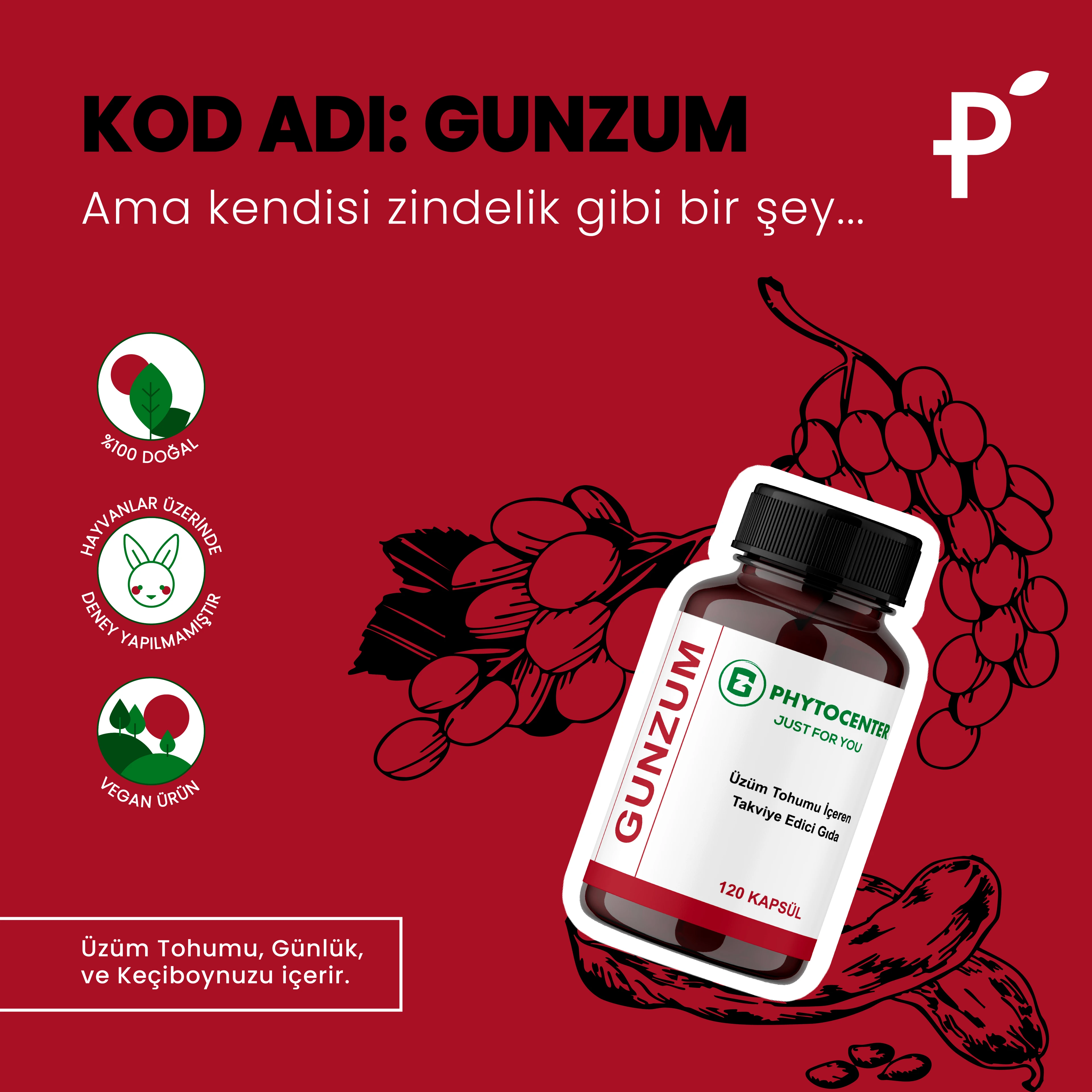 GUNZUM Üzüm Çekirdeği ve Günlük İçeren Takviye Edici Gıda 120 Kapsül