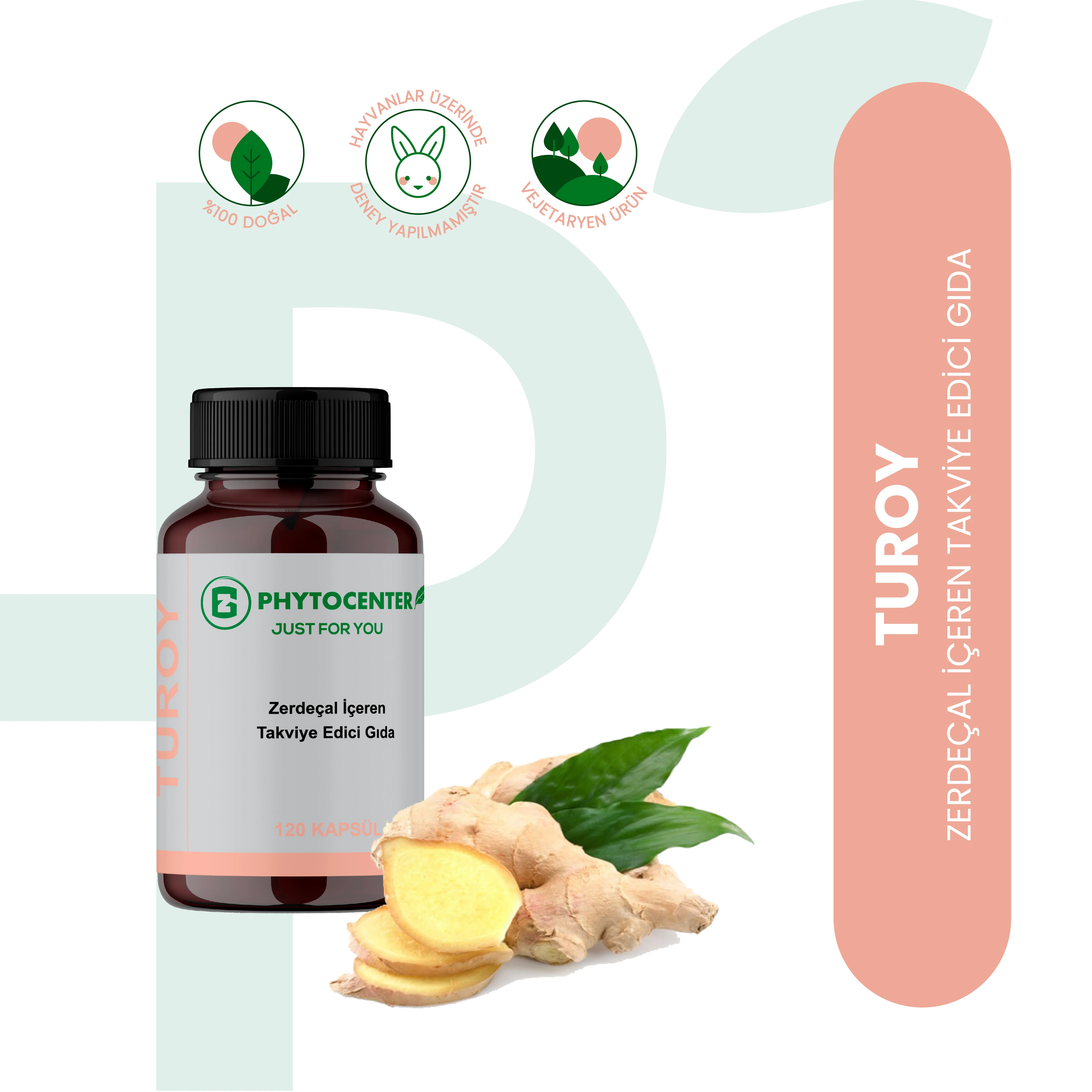 TUROY Zerdeçal ve Zencefil İçeren Takviye Edici Gıda 120 Kapsül