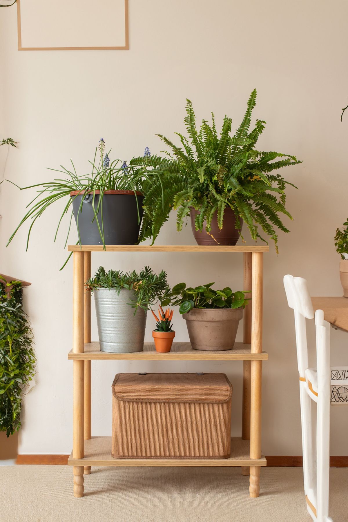 Concept  2 Raflı Balkon Banyo  Kitaplık  Mutfak Dolabı Organizer Ofis Düzenleyici  Ahşap Nature