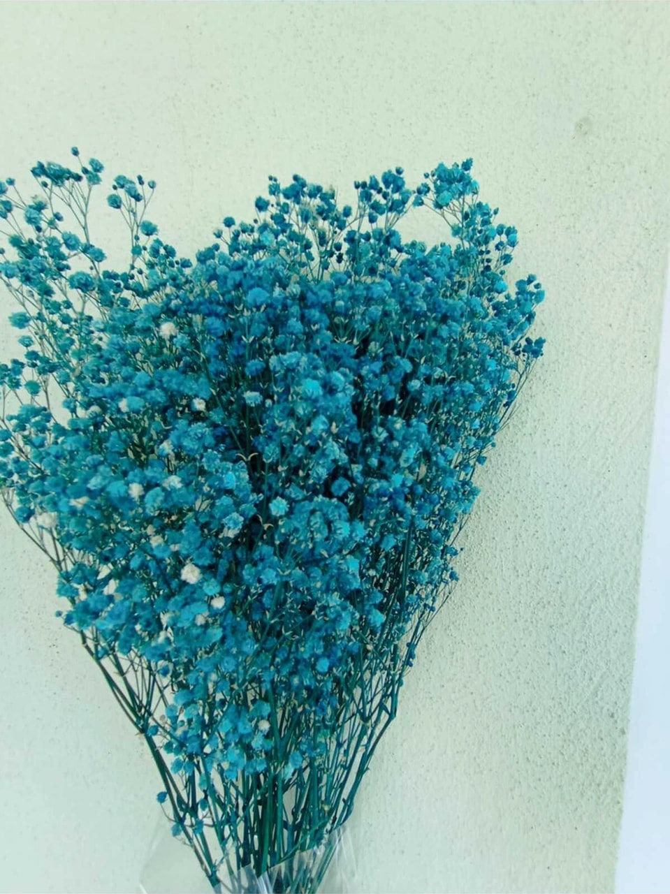 Esse Bahçe Şoklu Cipso Mavi