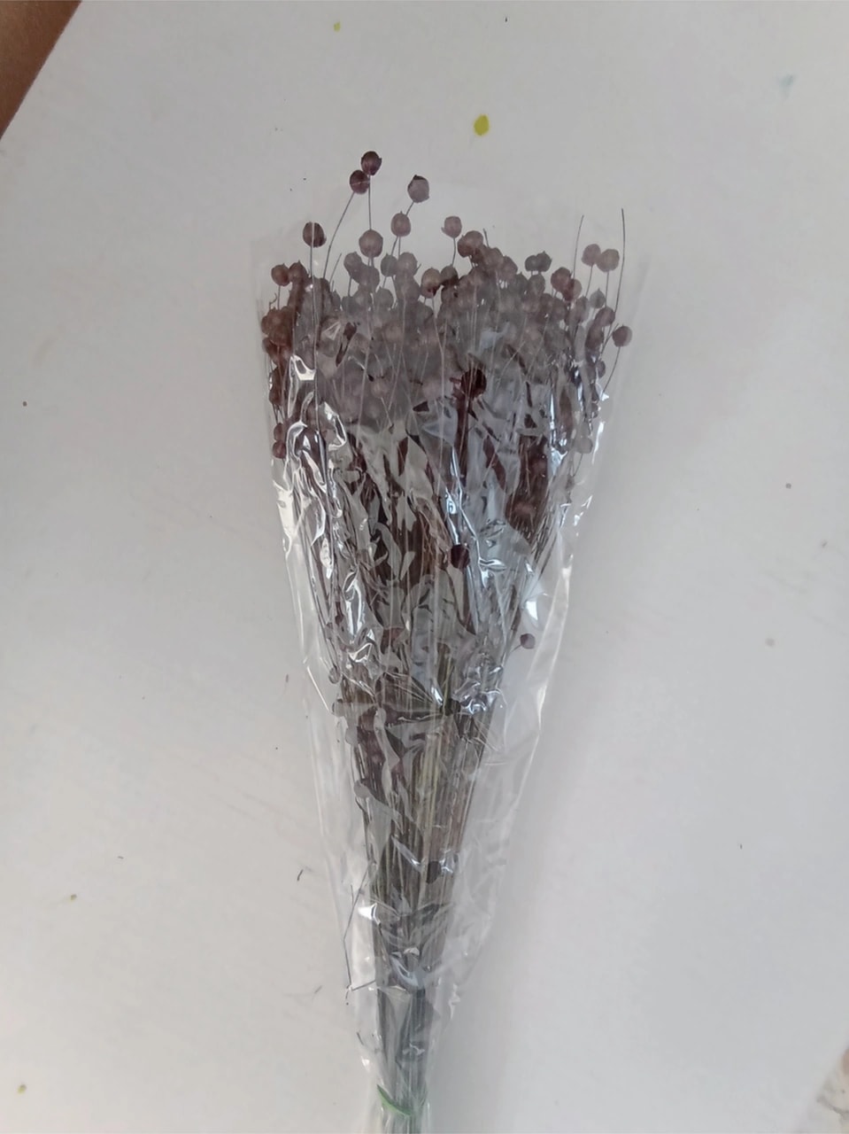 Esse Bahçe Kuru Çiçek (Luna) Keten Otu Demeti Siyah