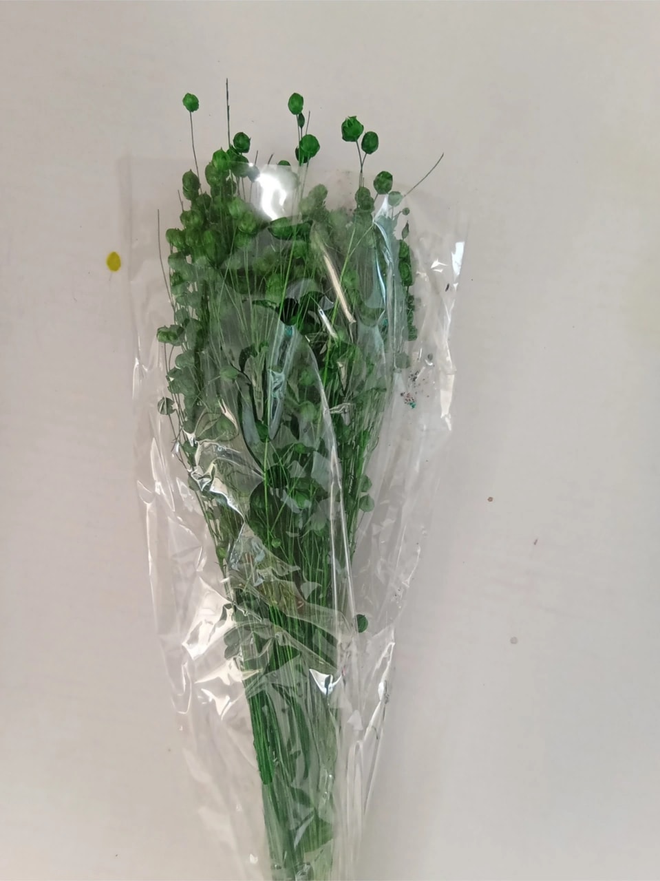 Esse Bahçe Kuru Çiçek (Luna) Keten Otu Demeti Yeşil