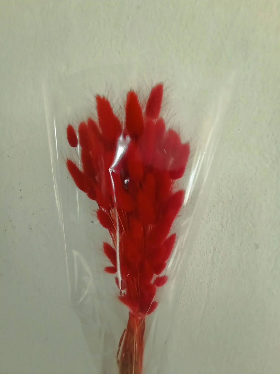 Esse Bahçe Doğal Kurutulmuş Pamuk Otu, Tavşan Kuyruğu Gelin Buketi Aranjman Çiçeği Lagurus Demeti Kırmızı