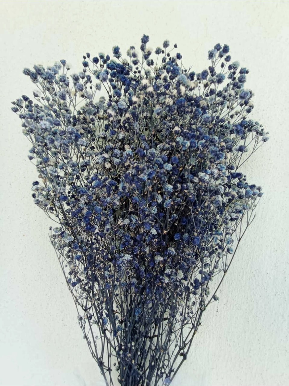 Esse Bahçe Şoklu Cipso Lacivert