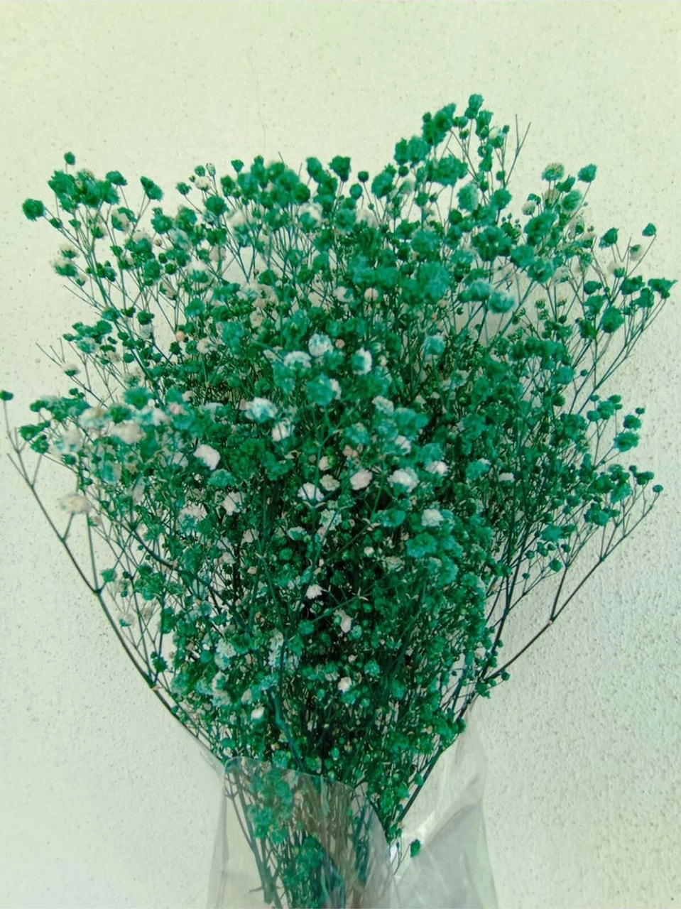 Esse Bahçe Şoklu Cipso Turkuaz