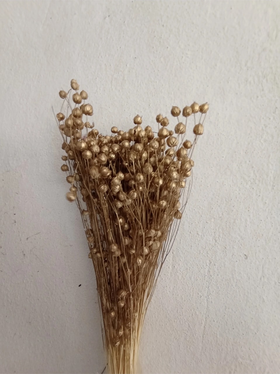 Esse Bahçe Kuru Çiçek (Luna) Keten Otu Demeti Metalik