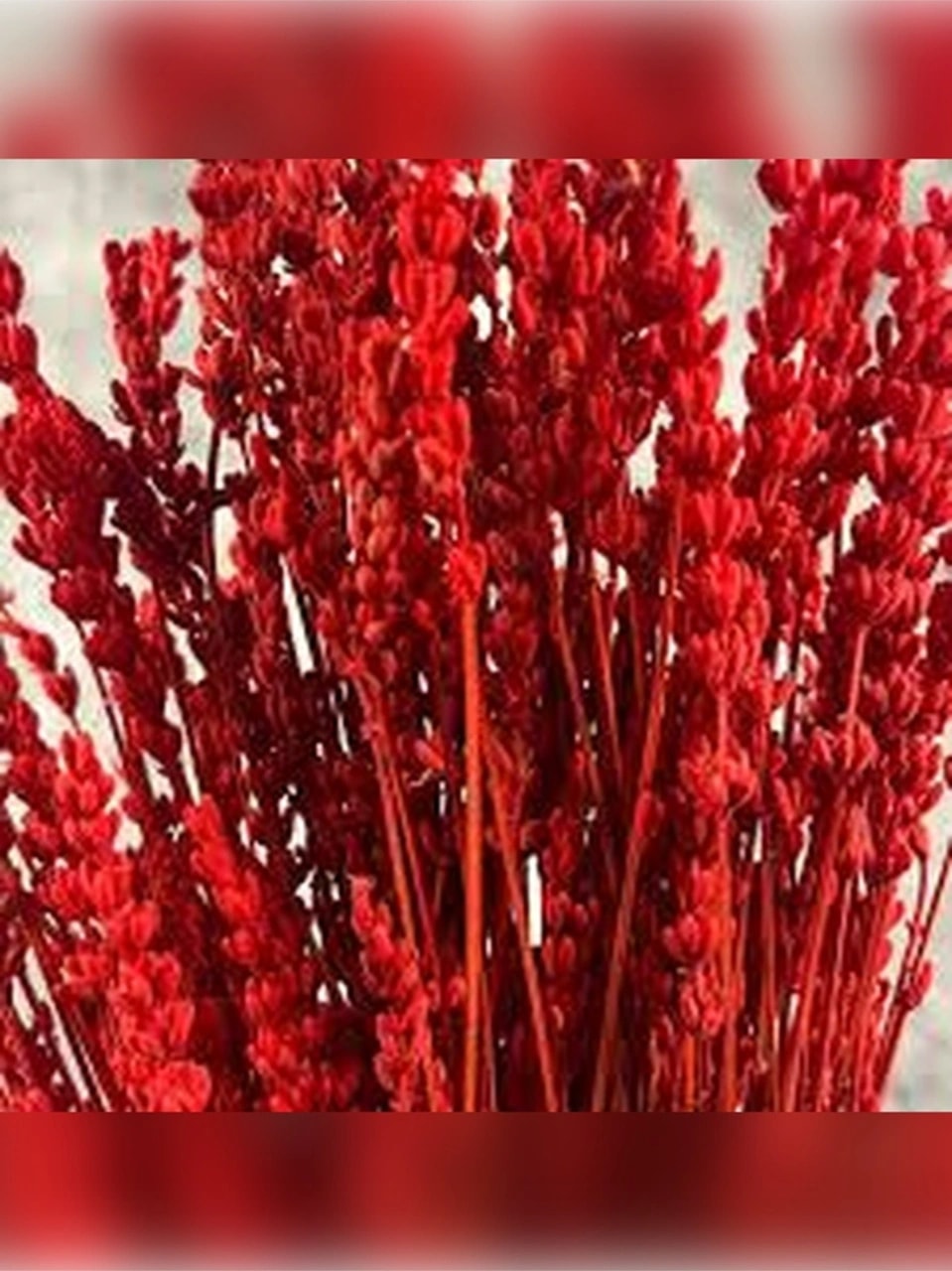 Esse Bahçe Şoklanmış Lavanta Demeti Gerçek Kuru Çiçek - Kırmızı