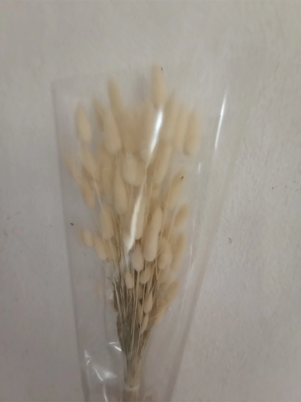 Esse Bahçe Doğal Kurutulmuş Pamuk Otu, Tavşan Kuyruğu Gelin Buketi Aranjman Çiçeği Lagurus Demeti Beyaz