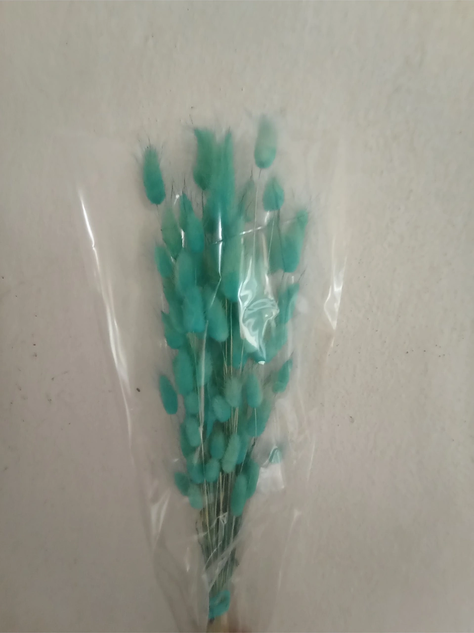 Esse Bahçe Doğal Kurutulmuş Pamuk Otu, Tavşan Kuyruğu Gelin Buketi Aranjman Çiçeği Lagurus Demeti Mavi