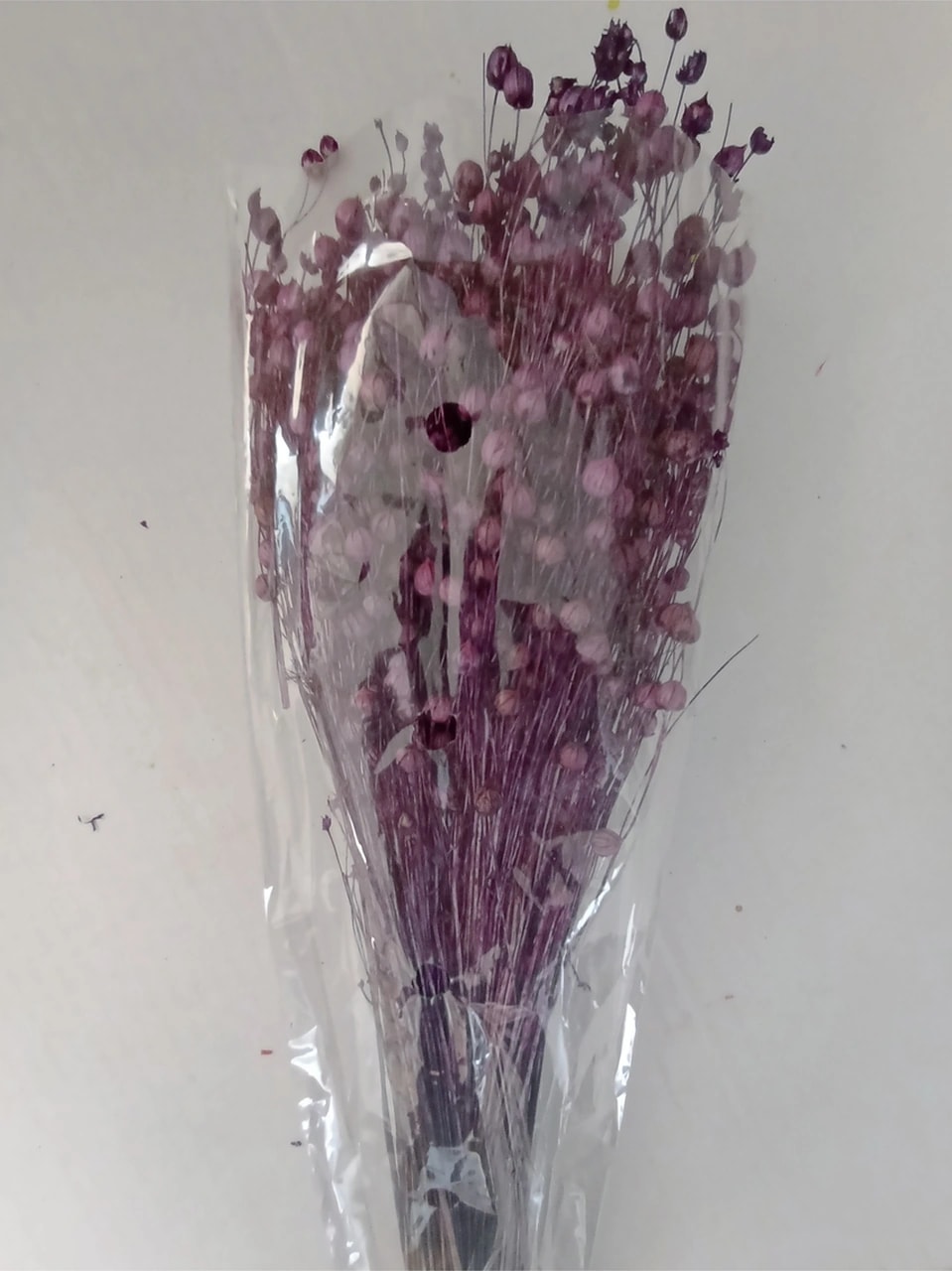 Esse Bahçe Kuru Çiçek (Luna) Keten Otu Demeti Eflatun