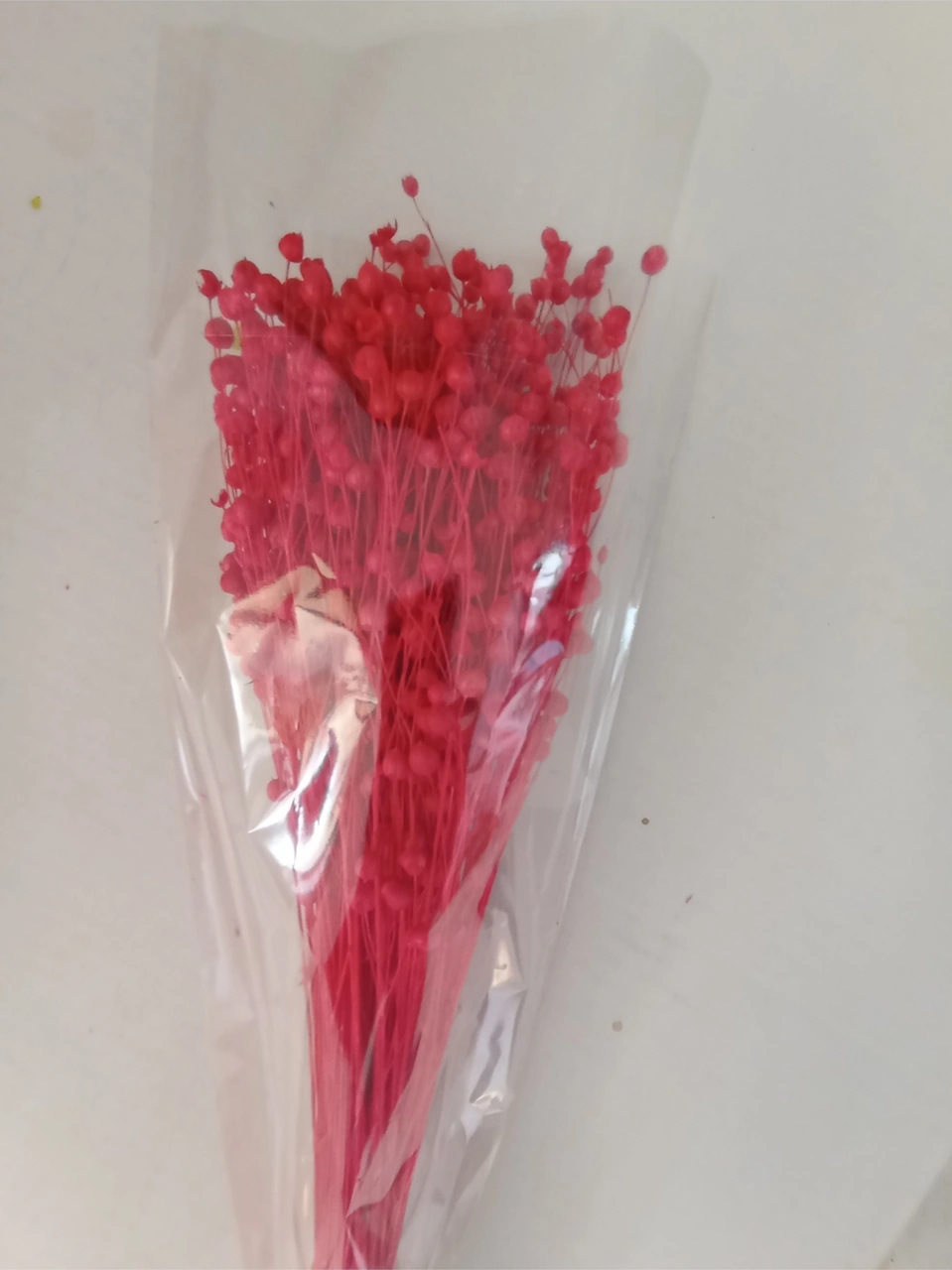 Esse Bahçe Kuru Çiçek (Luna) Keten Otu Demeti Kırmızı