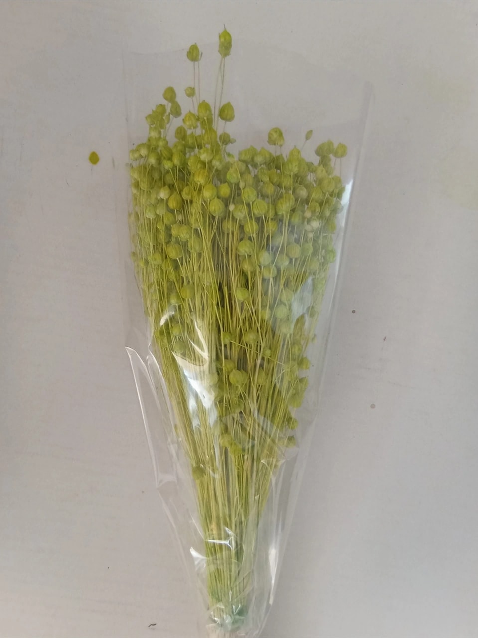 Esse Bahçe Kuru Çiçek (Luna) Keten Otu Demeti Fıstık Yeşili