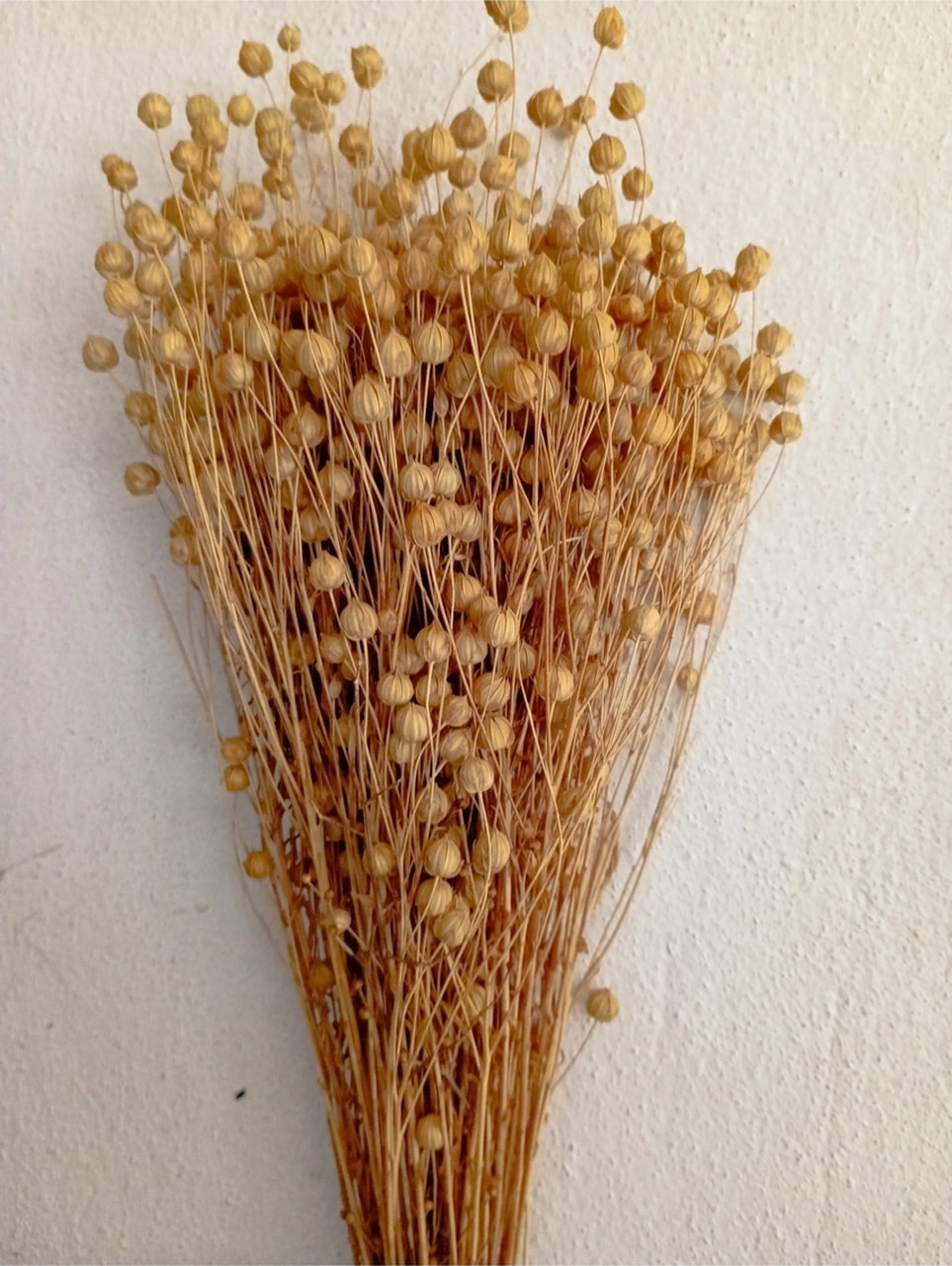 Esse Bahçe Kuru Çiçek (Luna) Keten Otu Demeti Krem