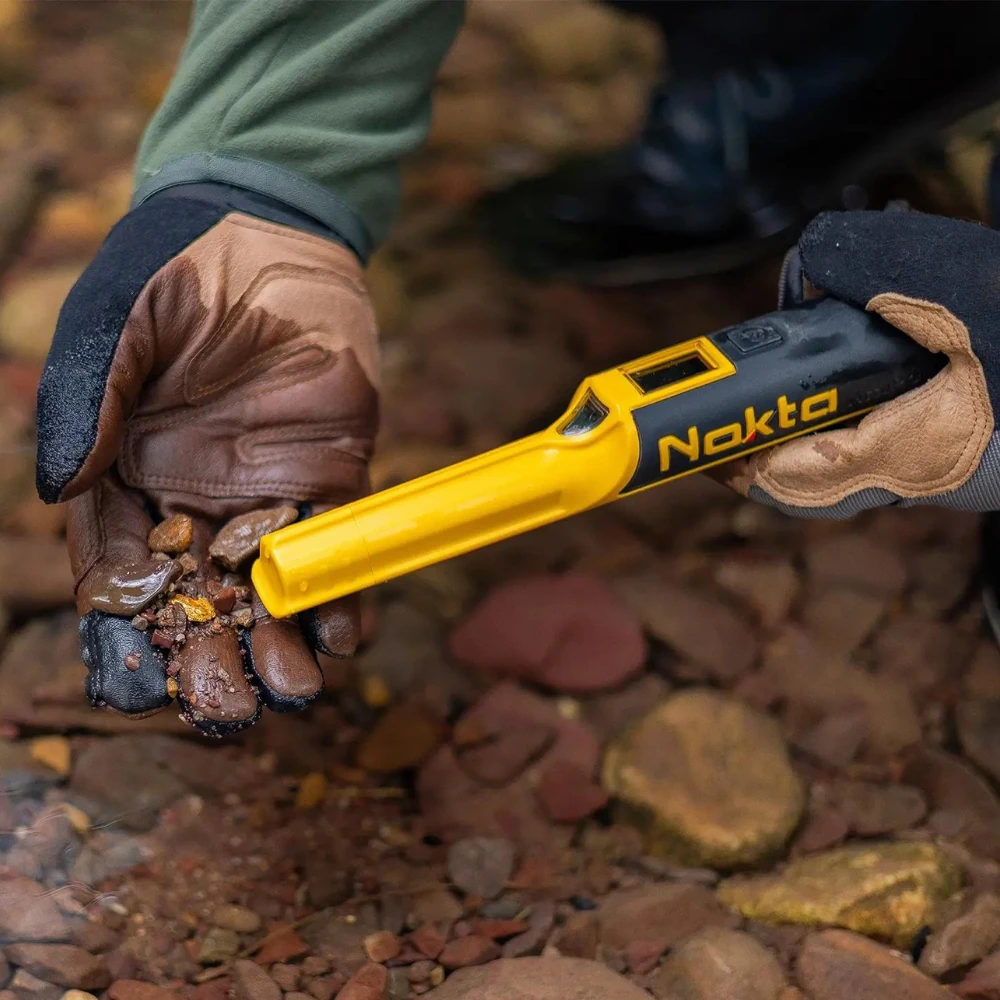 Nokta AccuPoint Pointer Noktasal Tespit (PinPointer)