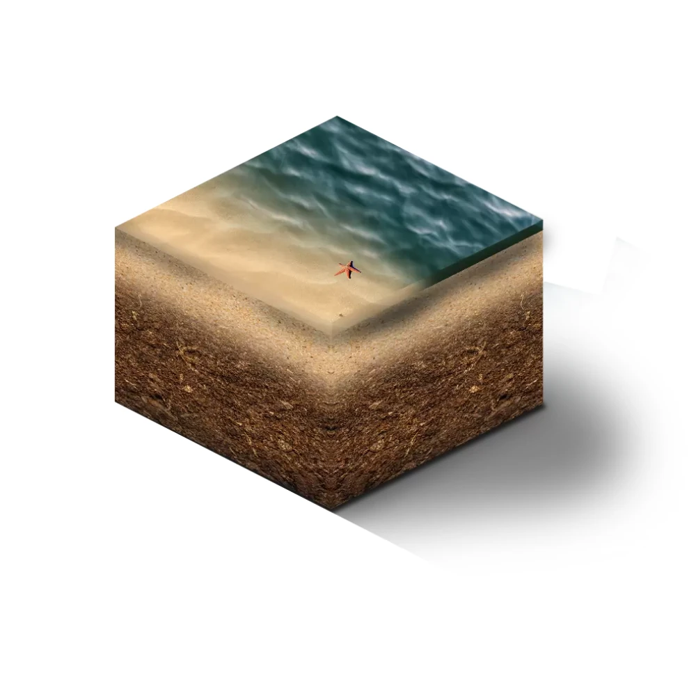 Minelab x-Terra Pro Metal Dedektör (VLF)