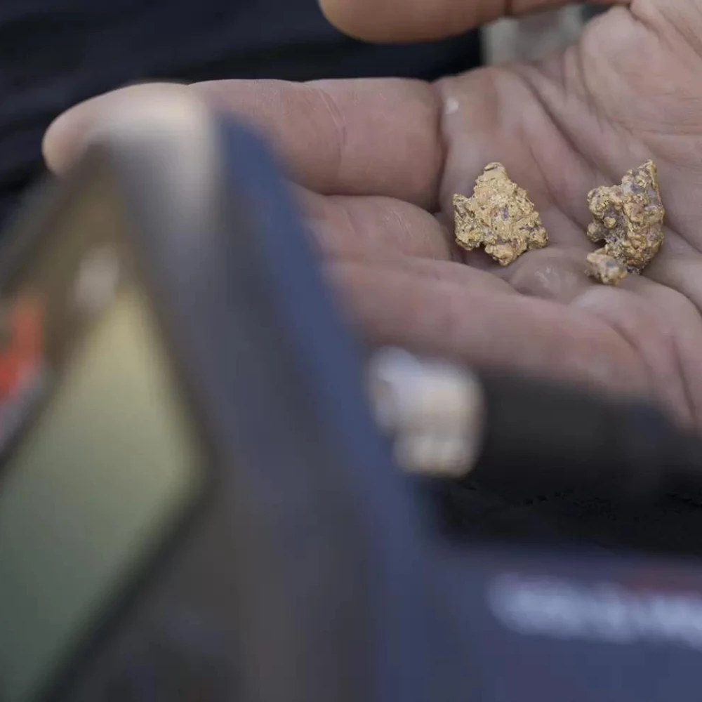 Minelab Gold Monster 1000 Gelişmiş Altın Dedektörü