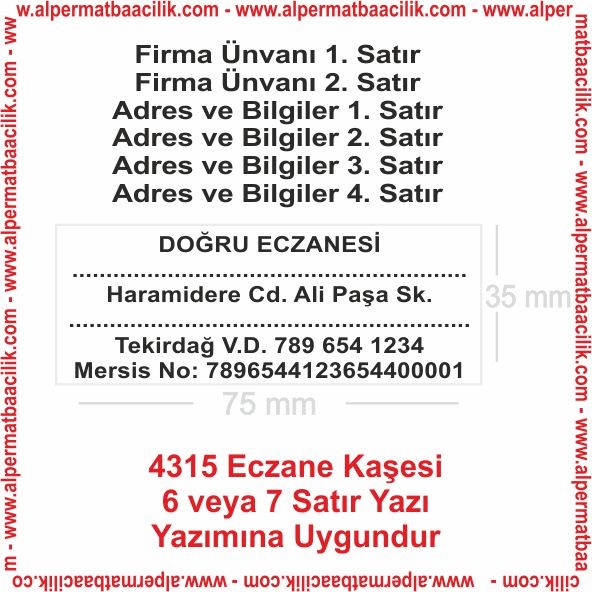 4315 Büyük Kaşe