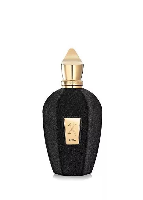 Xerjoff Unisex XERJOFF V Opera 100 ml Edp TESTER