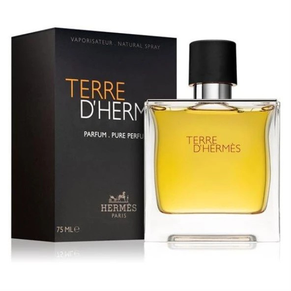 Hermes Terre D'Hermes Pure Erkek Parfümü EDP 100ml İTHAL