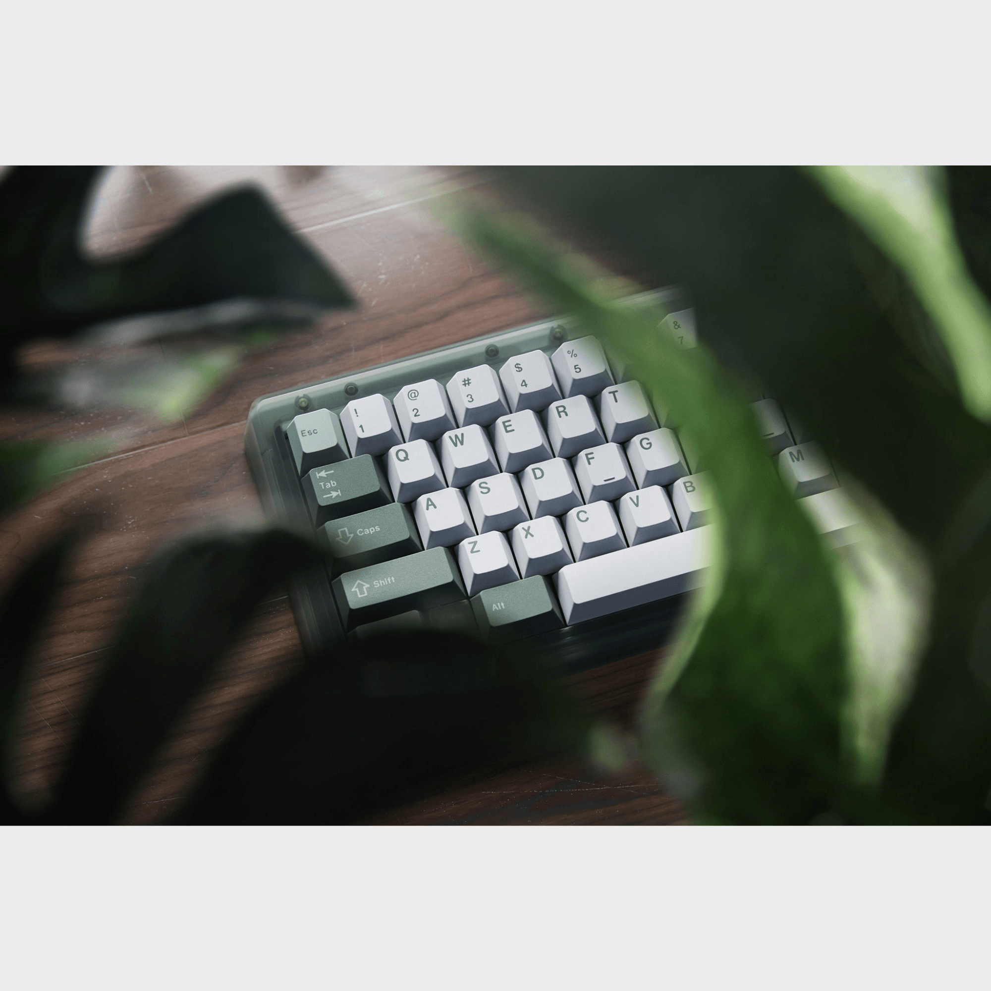 CYL Botanical 2 Tuş Takımı