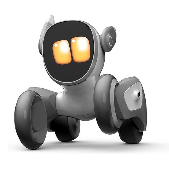 Loona Yapay Zeka Robot- Ai Petdog