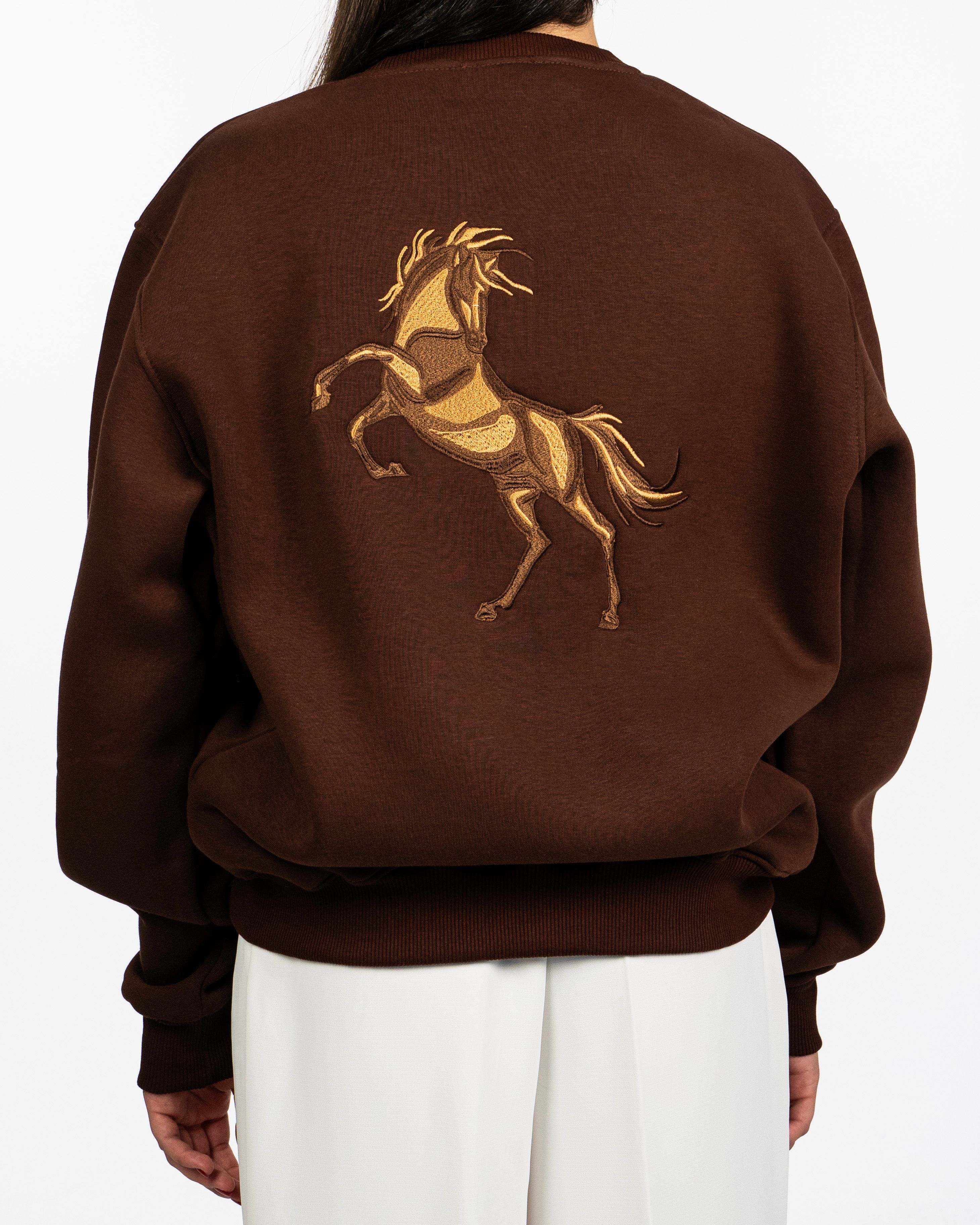 Para Dressage