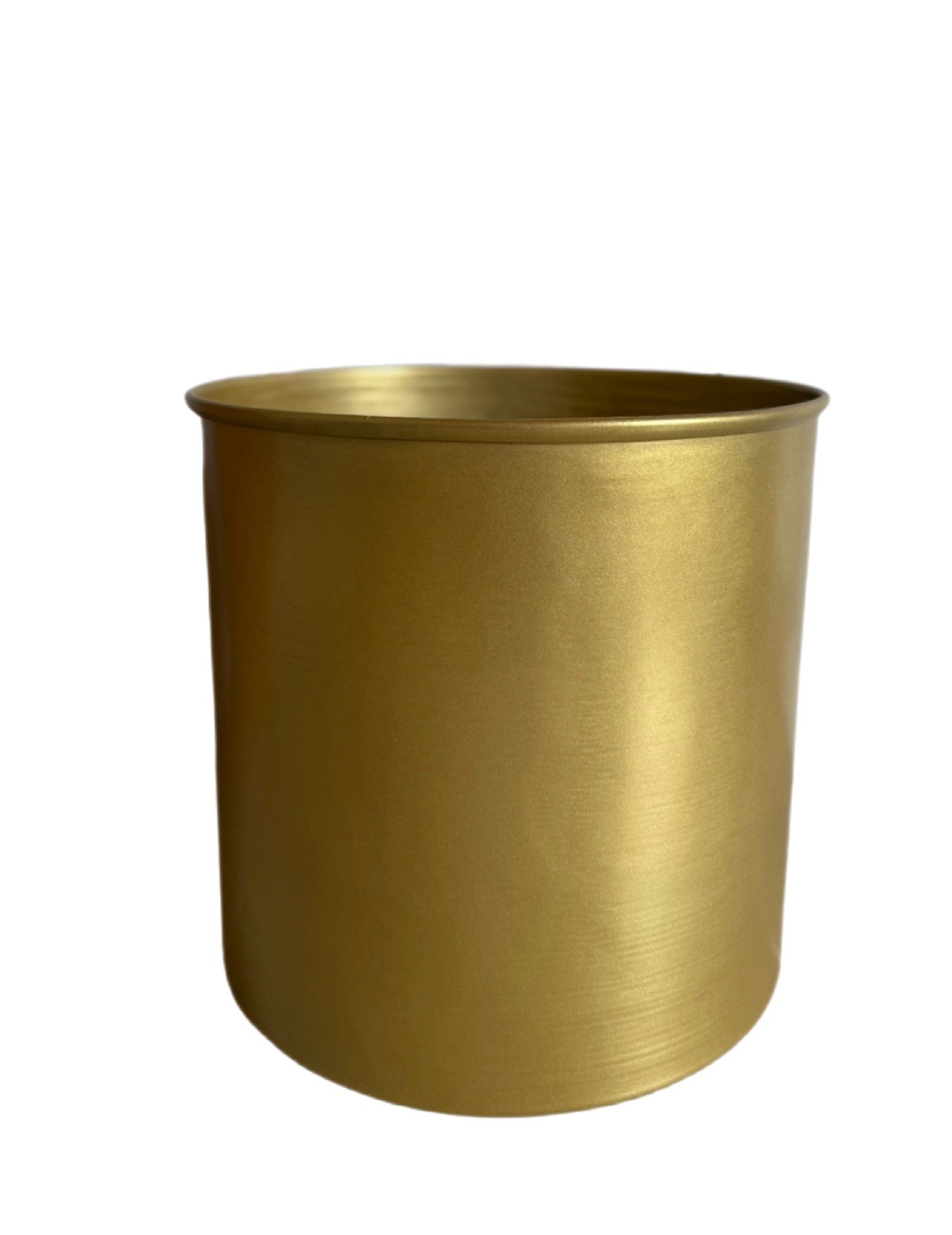 Potte saksılı Areka Palmiyesi 150/170 cm