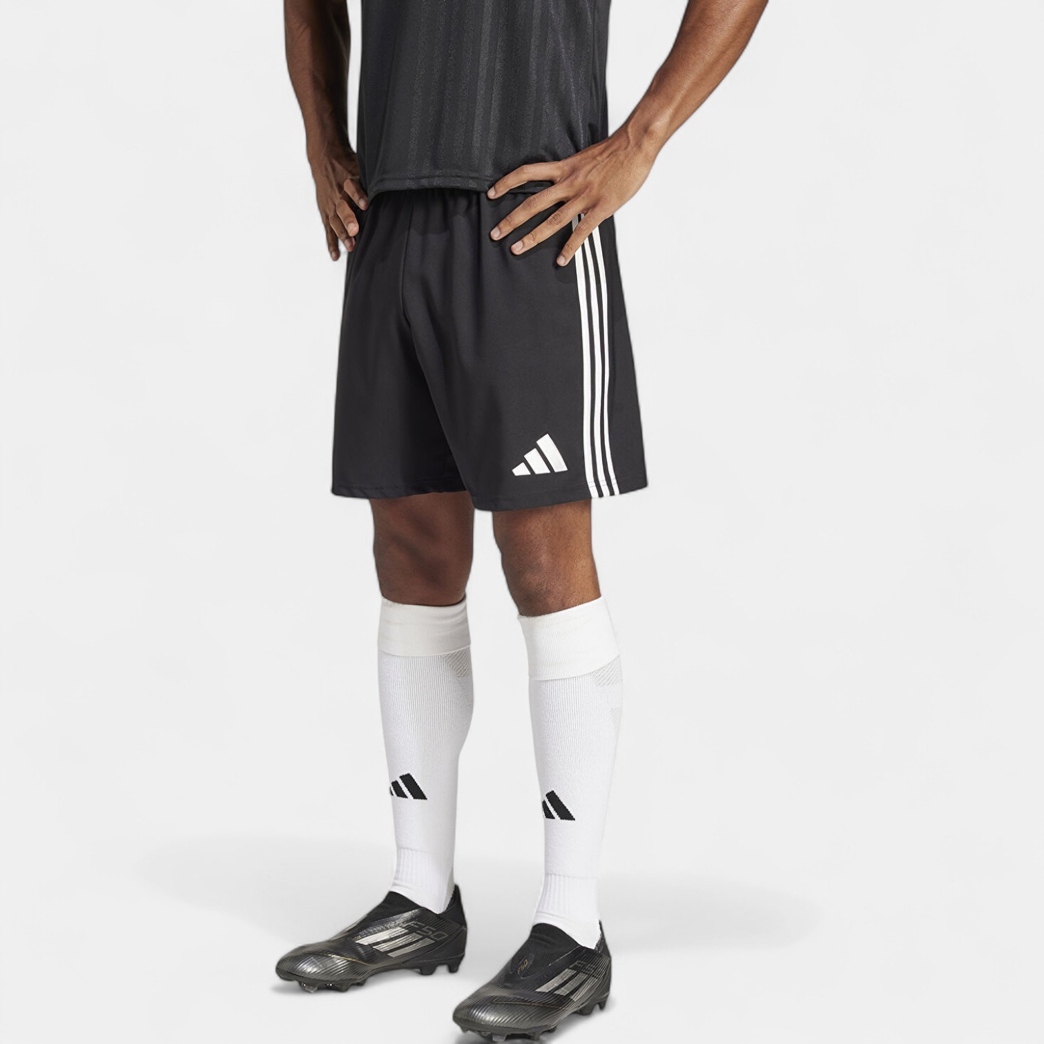 Adidas TASTIGO25 SHO M Erkek Short JN7155