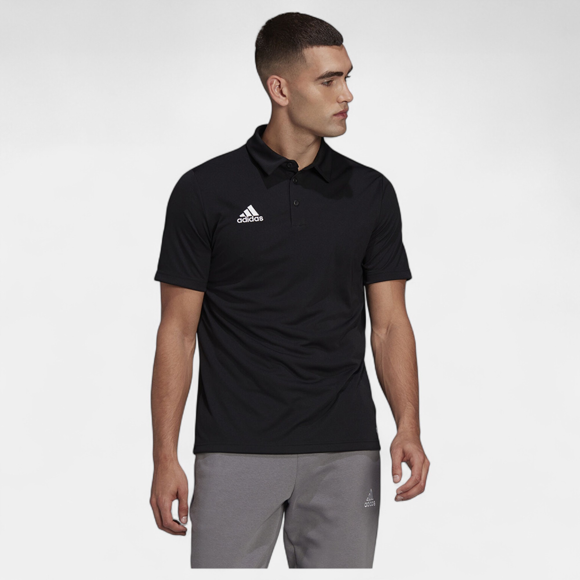 Adidas ENT22  Polo Siyah Erkek Tişört HB5328