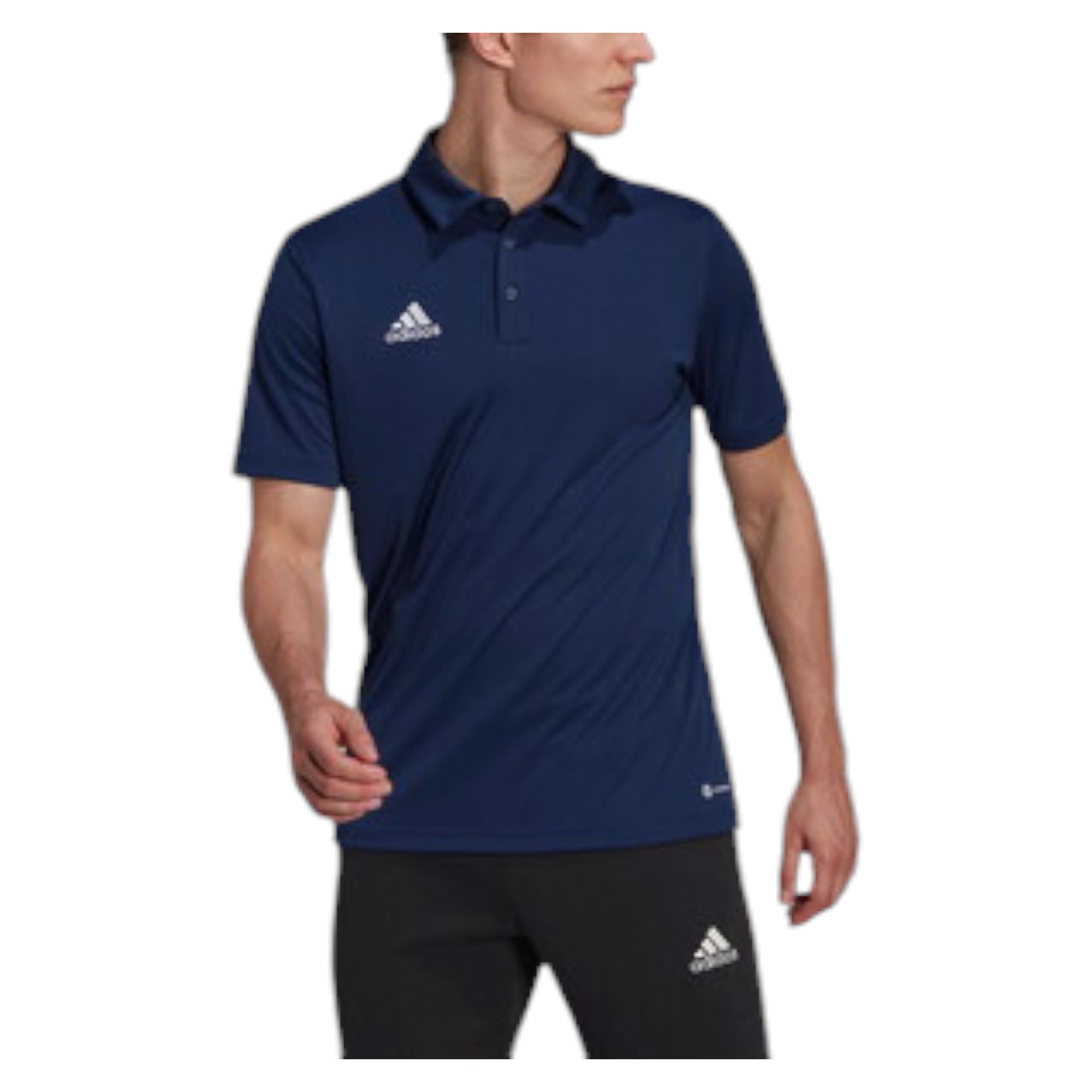 Adidas Entrada 22 Polo MAVİ - MAVİ