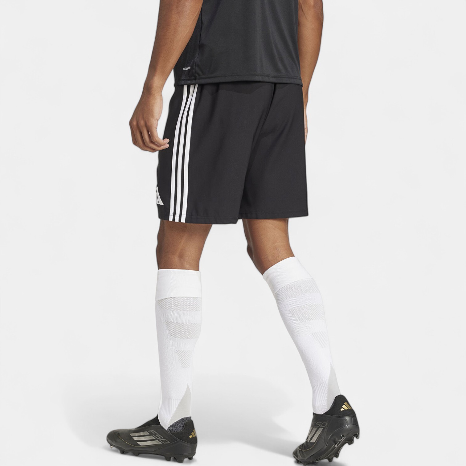 Adidas TASTIGO25 SHO M Erkek Short JN7155