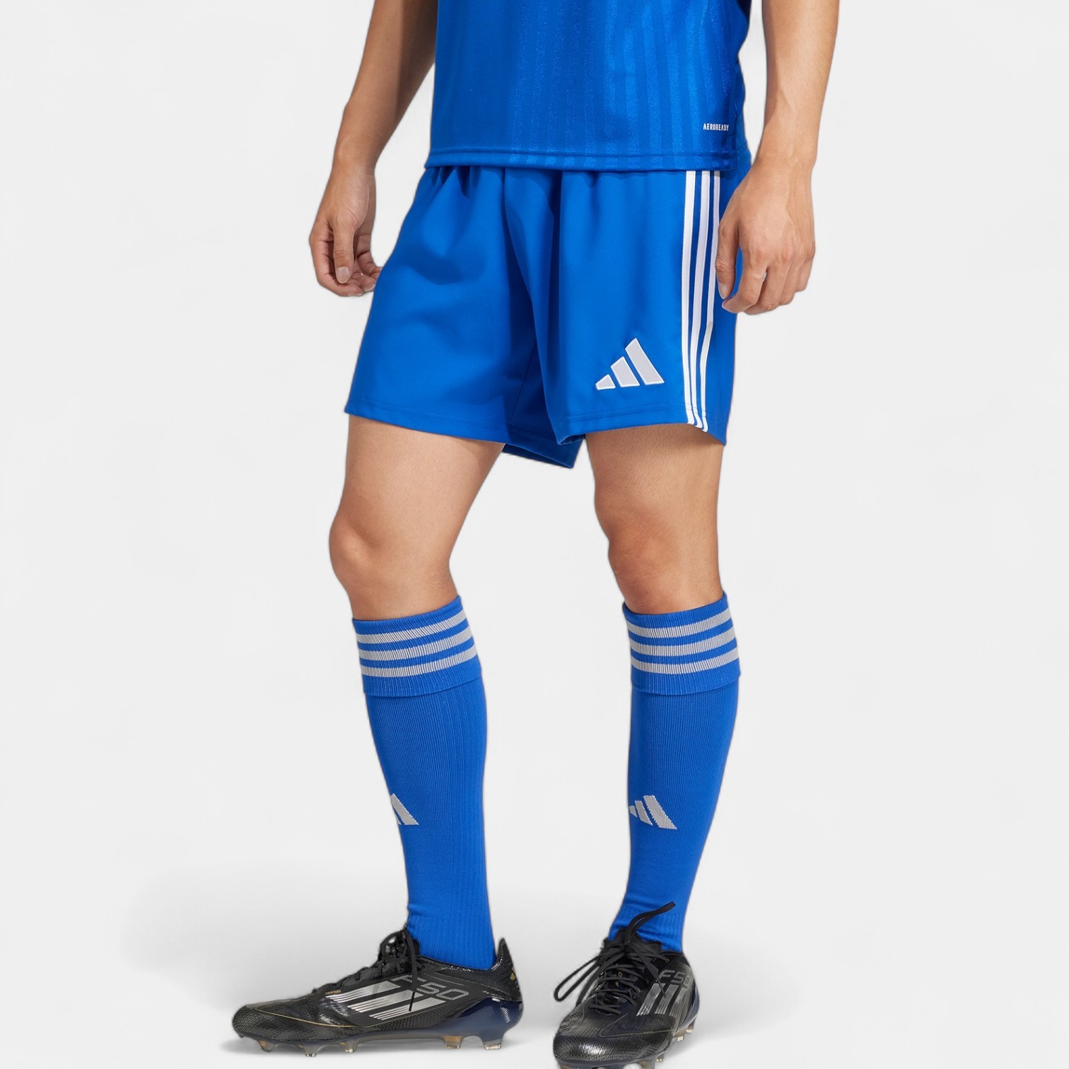 Adidas TASTIGO25 SHO M Mavi Erkek Şort JN7159
