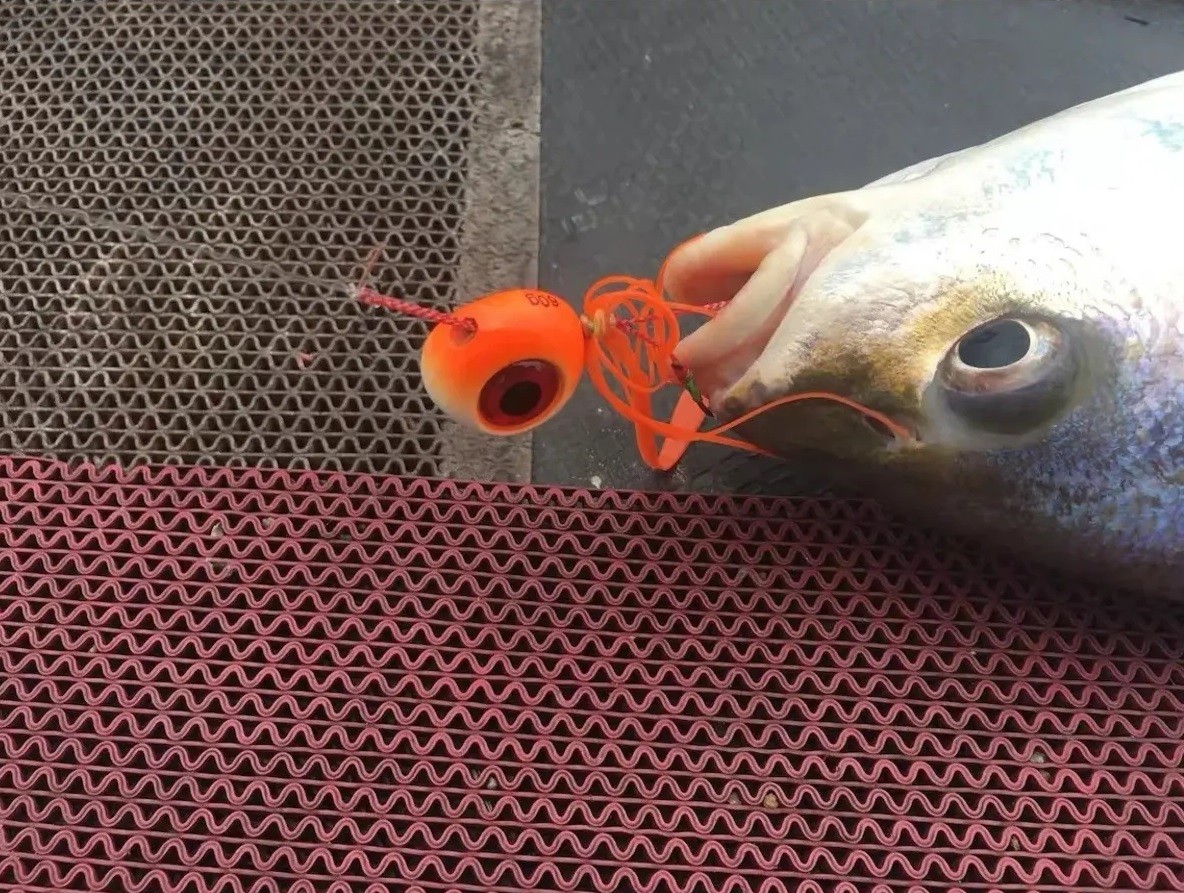 BİLTEKNİK MELEK GÖZÜ Kurşun Yeni Nesil Kulpsuz 200 Gr